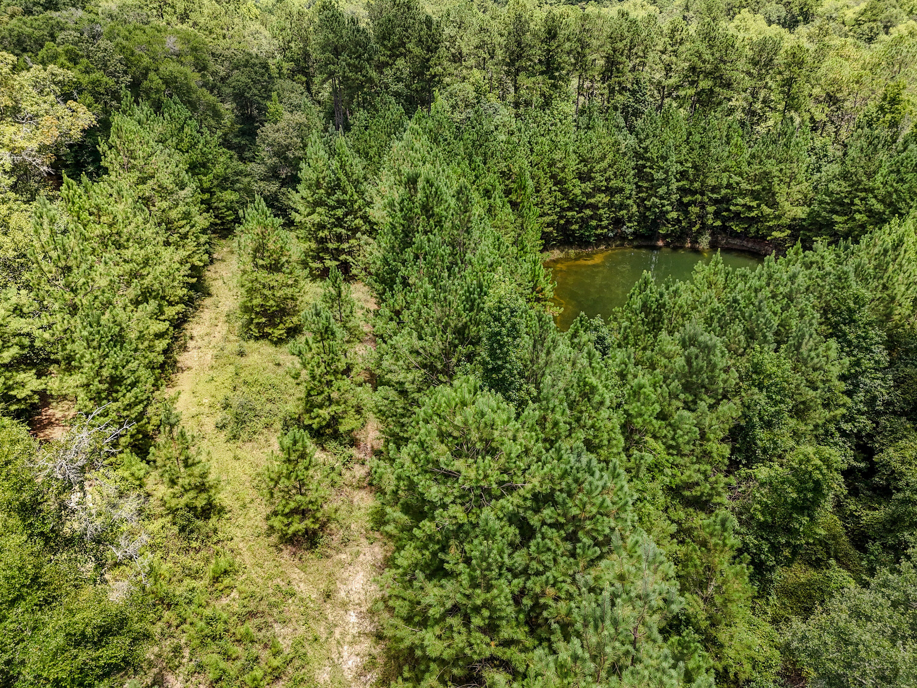 27.79 Acre County Highway 183b Defuniak Springs FL 32433