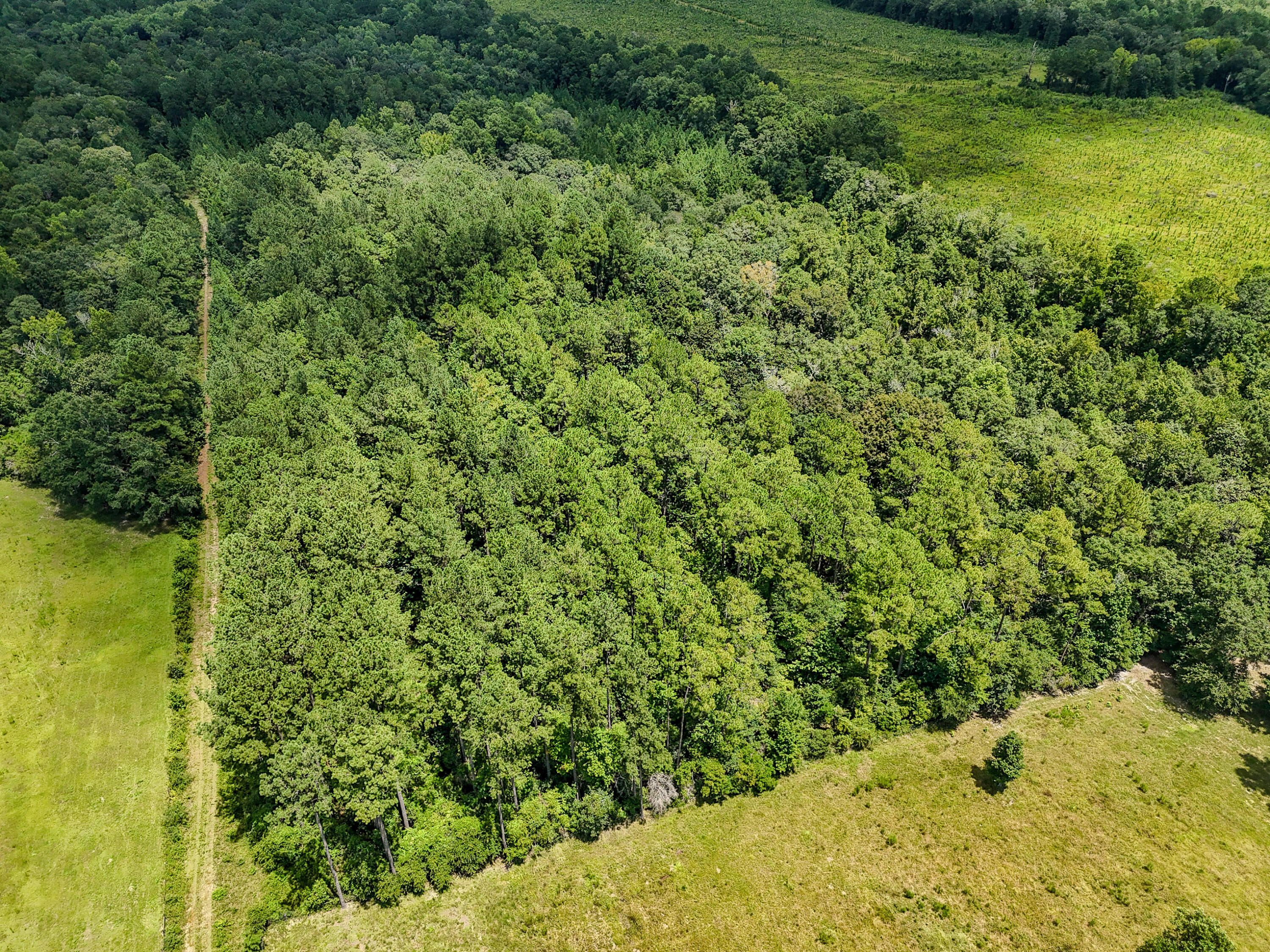 27.79 Acre County Highway 183b Defuniak Springs FL 32433
