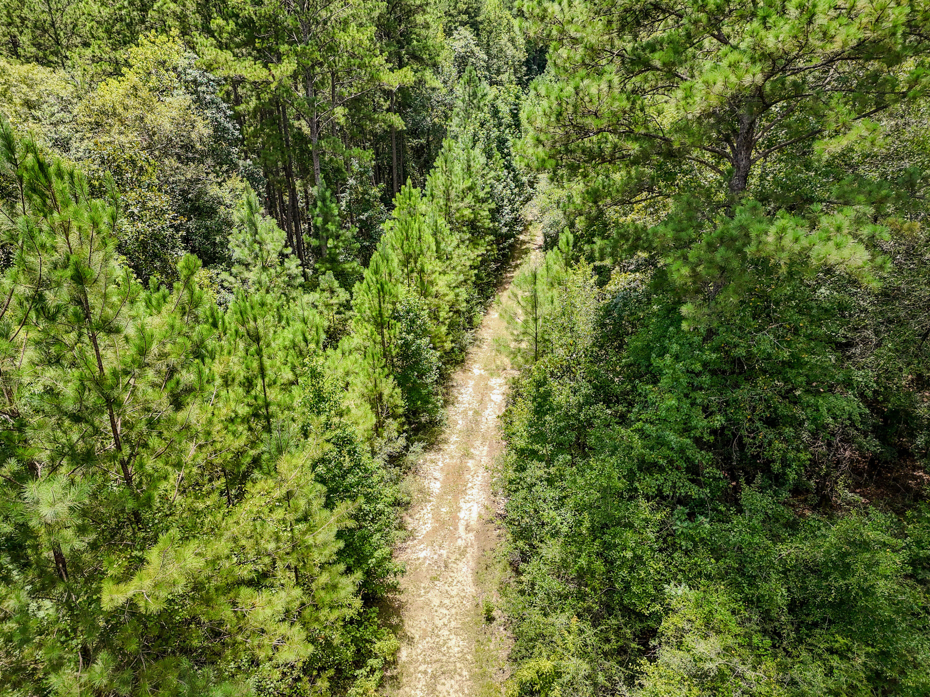 27.79 Acre County Highway 183b Defuniak Springs FL 32433