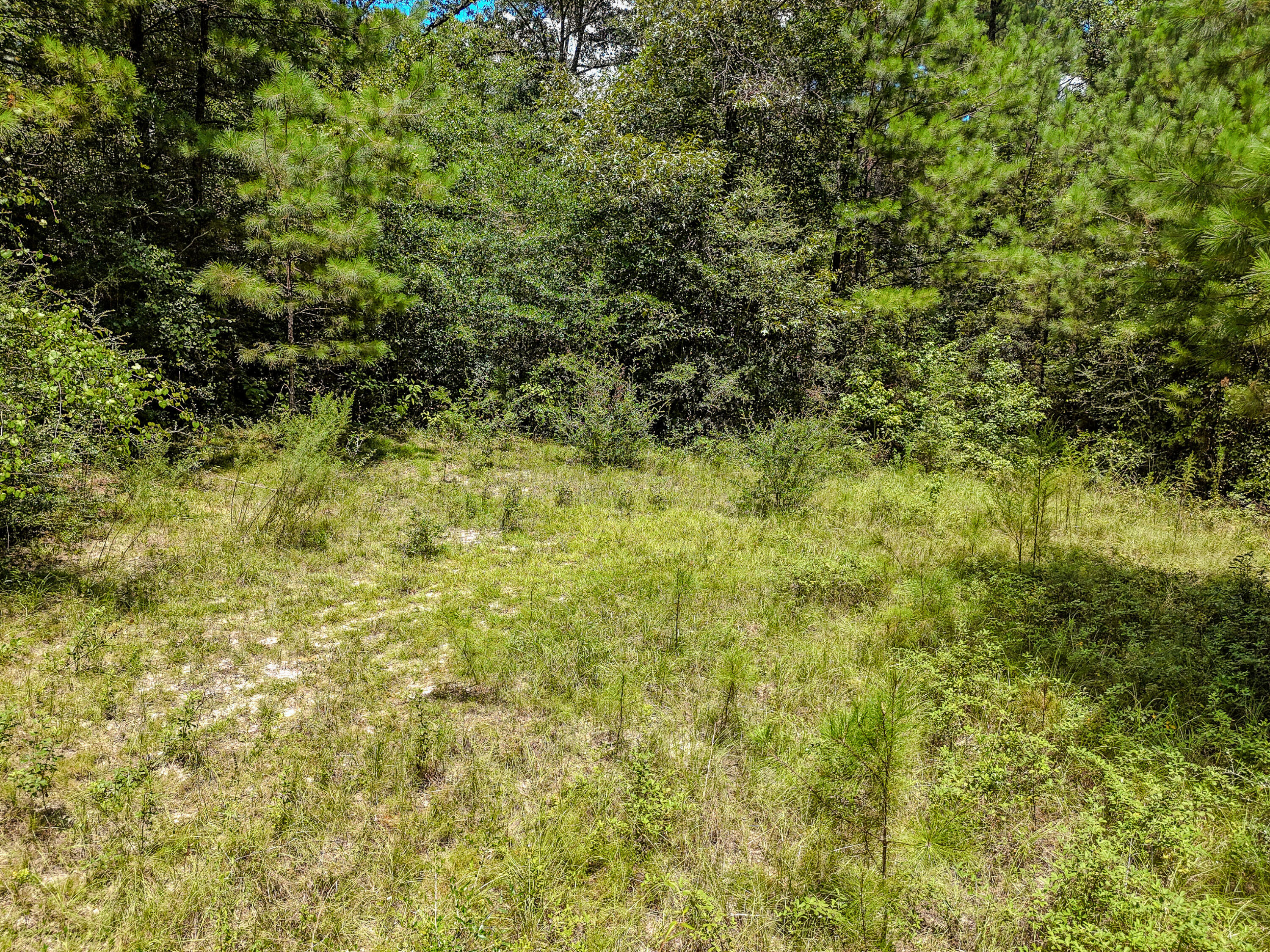 27.79 Acre County Highway 183b Defuniak Springs FL 32433