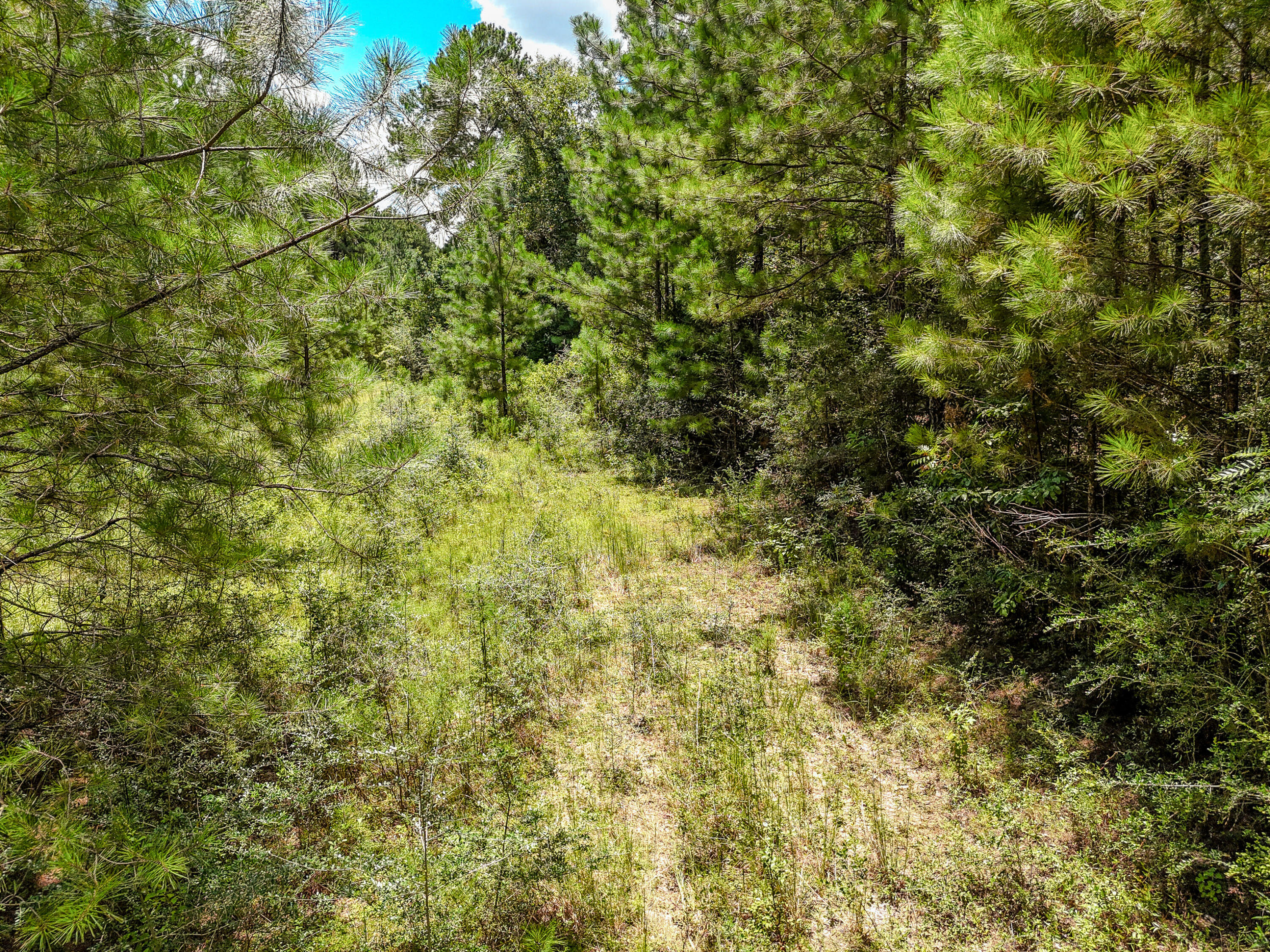 27.79 Acre County Highway 183b Defuniak Springs FL 32433