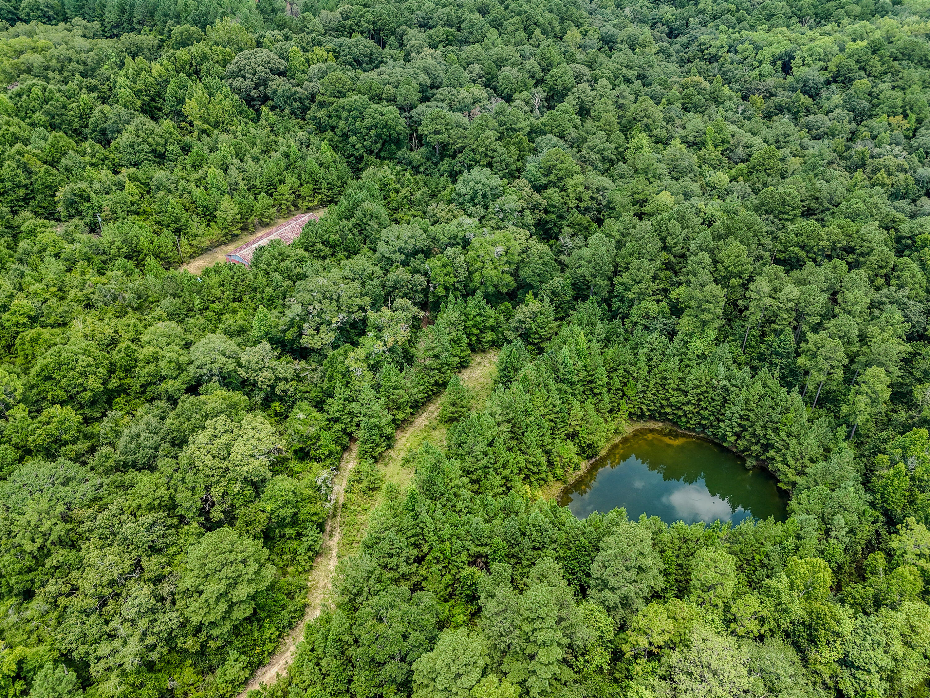 27.79 Acre County Highway 183b Defuniak Springs FL 32433