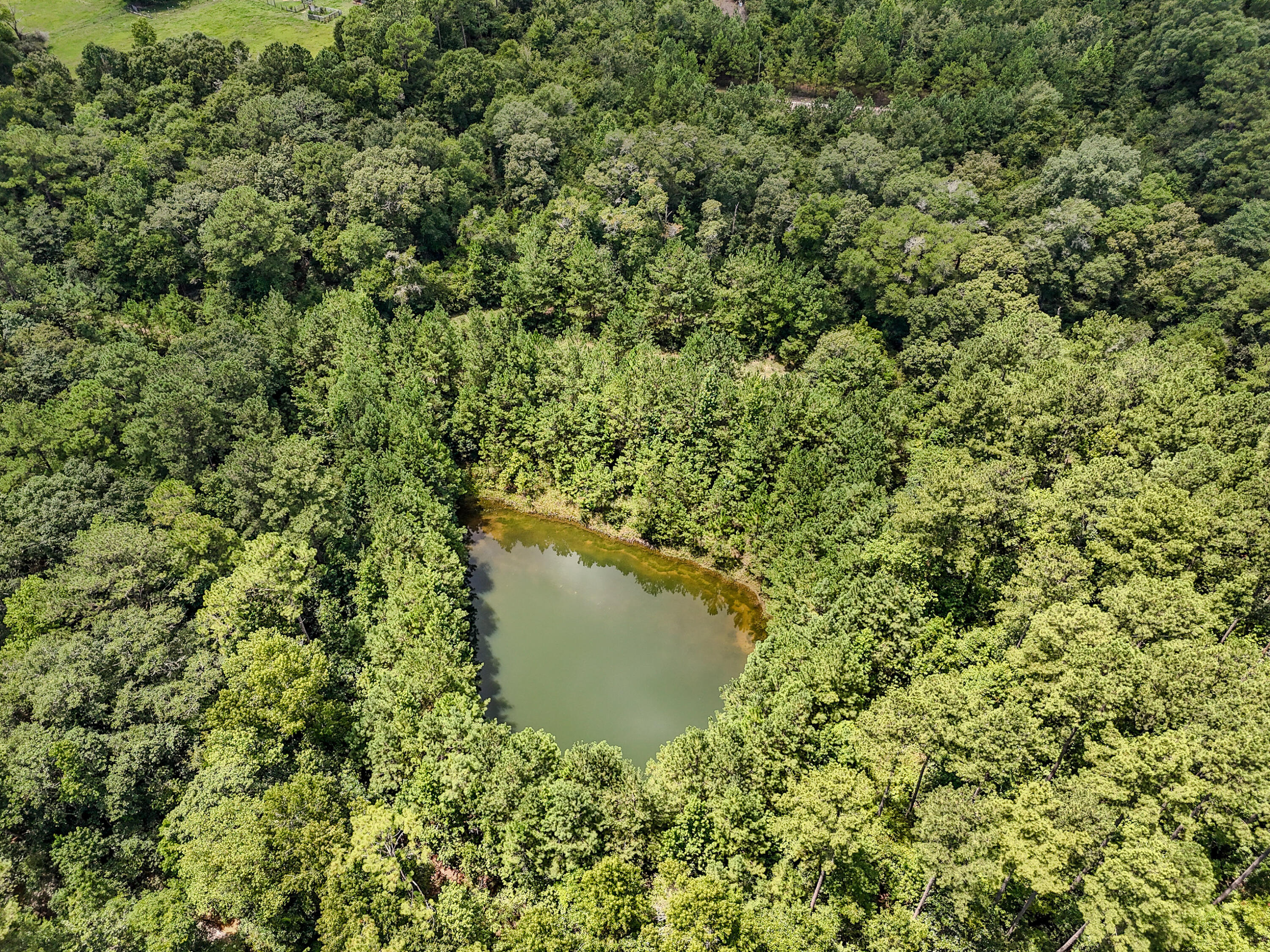 27.79 Acre County Highway 183b Defuniak Springs FL 32433