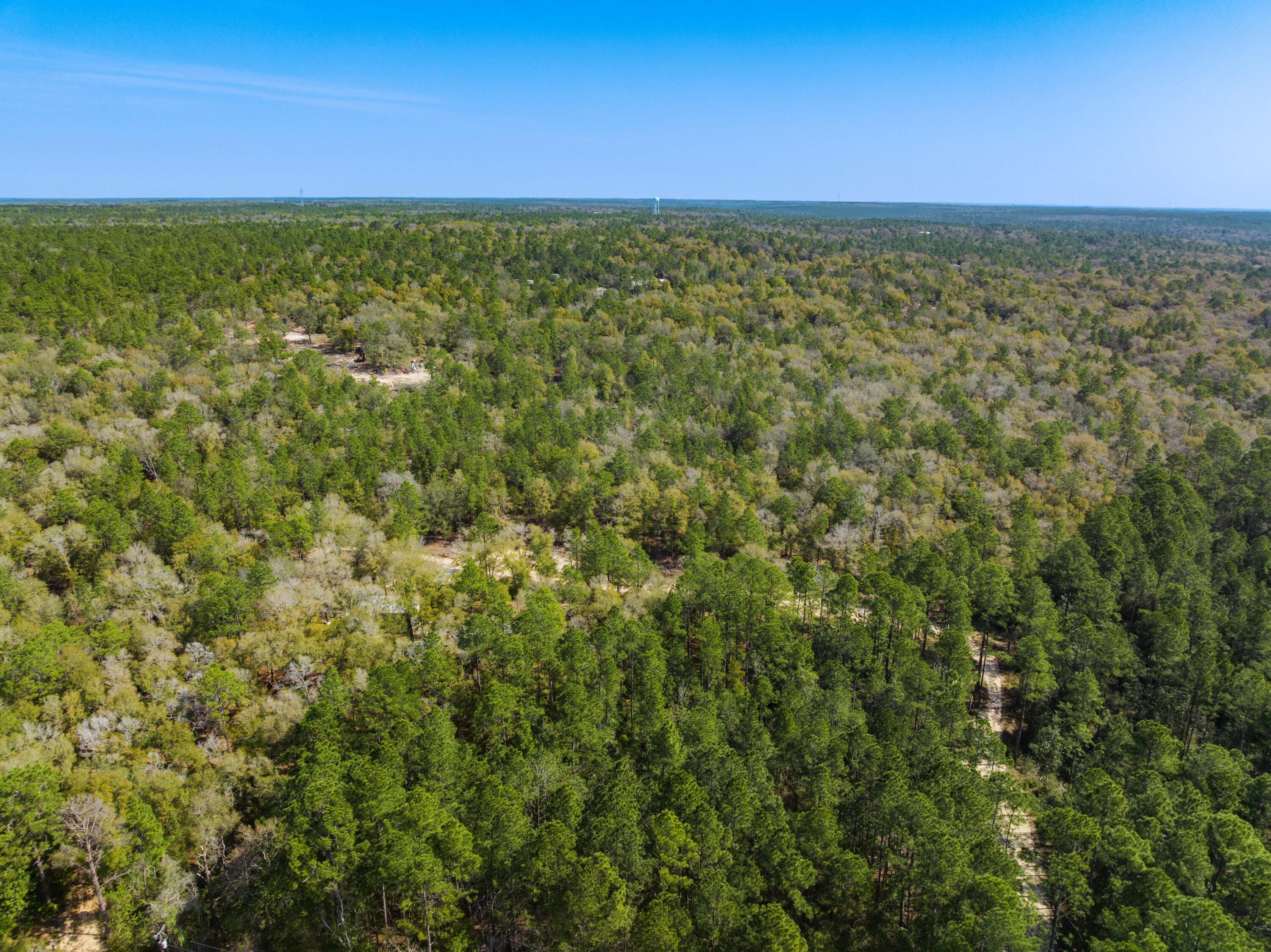 4195 Whippoorwill Drive Holt FL 32564