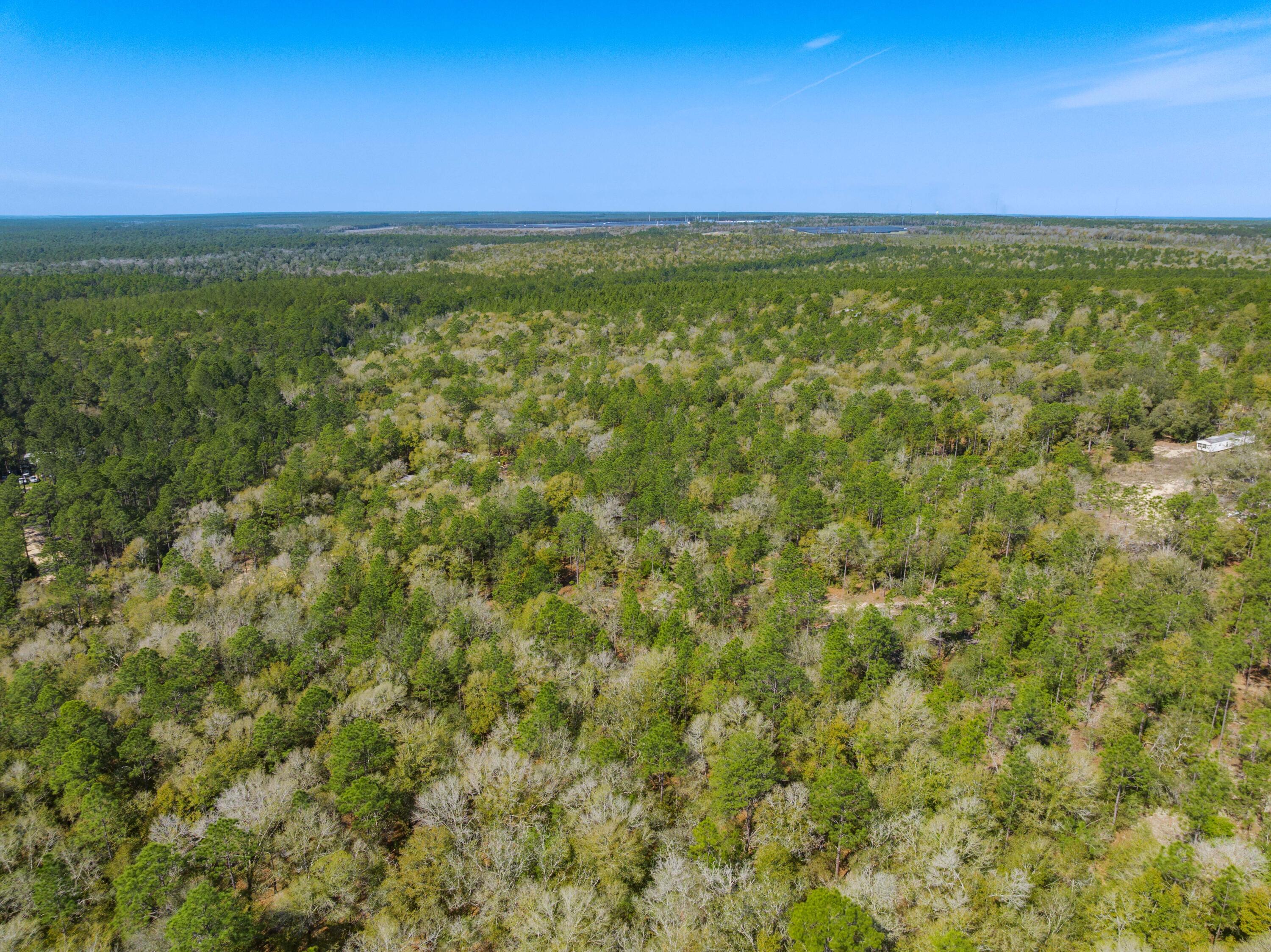 4195 Whippoorwill Drive Holt FL 32564