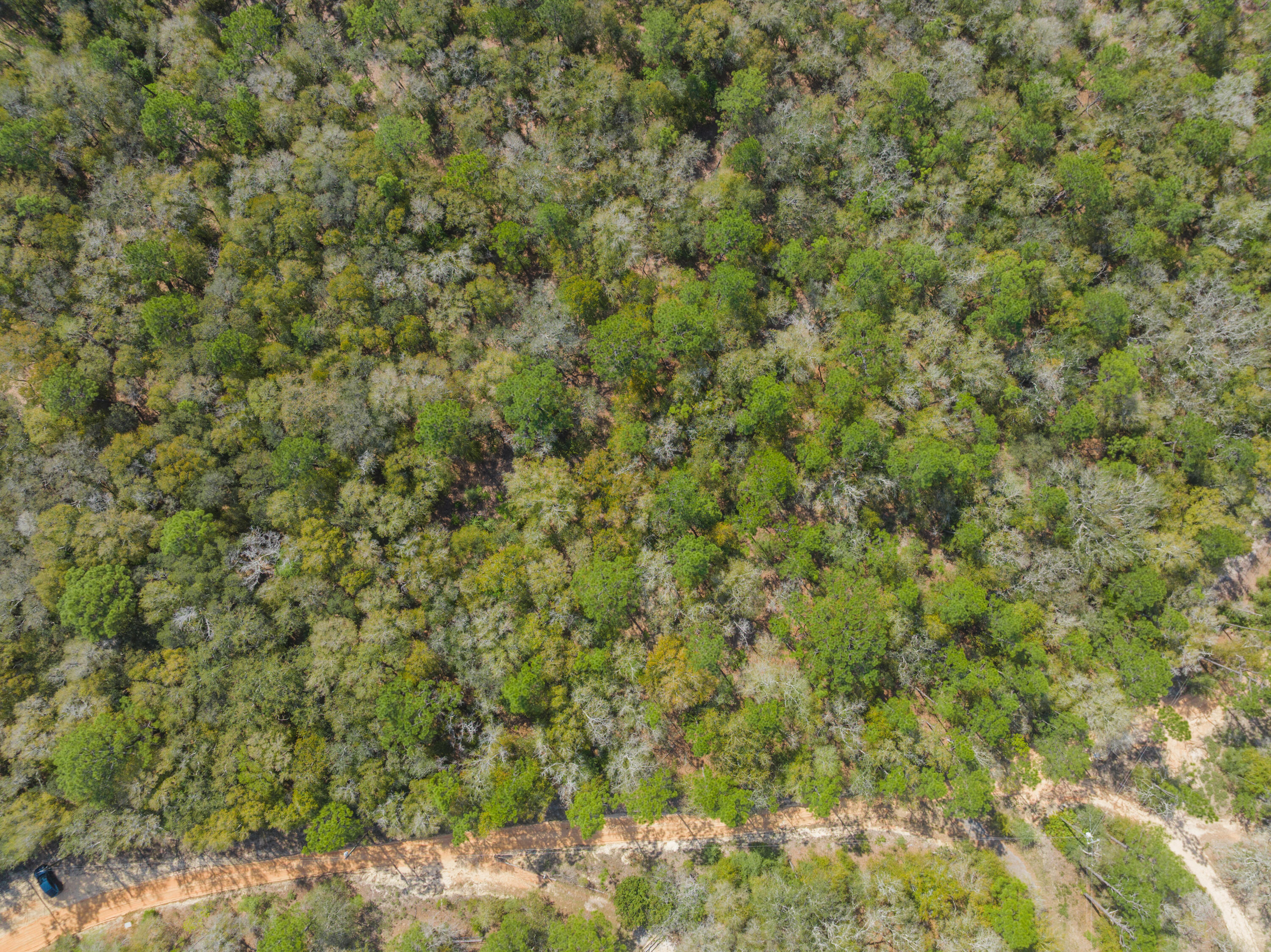 4195 Whippoorwill Drive Holt FL 32564