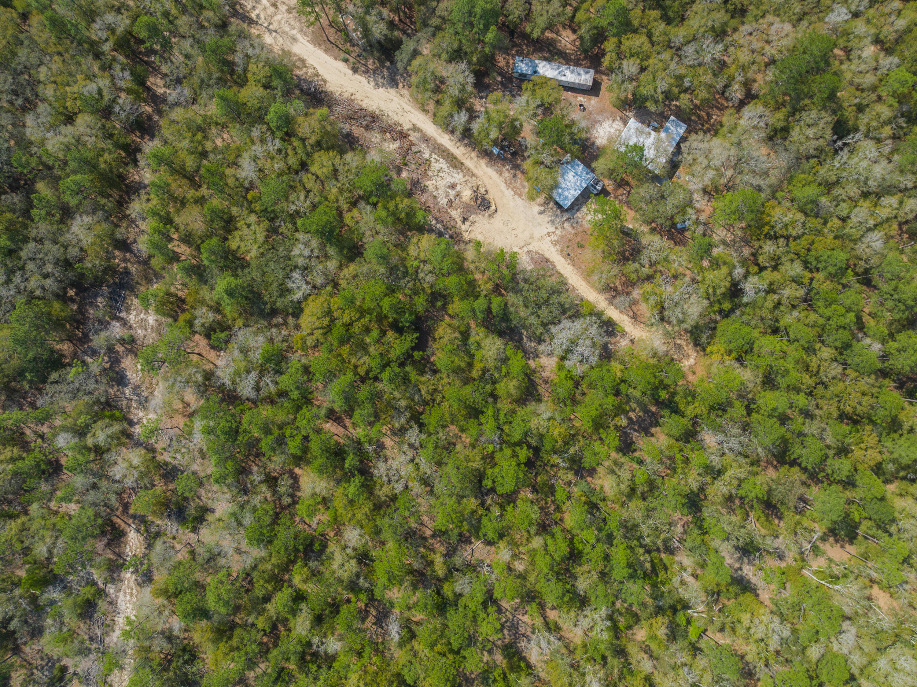 4195 Whippoorwill Drive Holt FL 32564