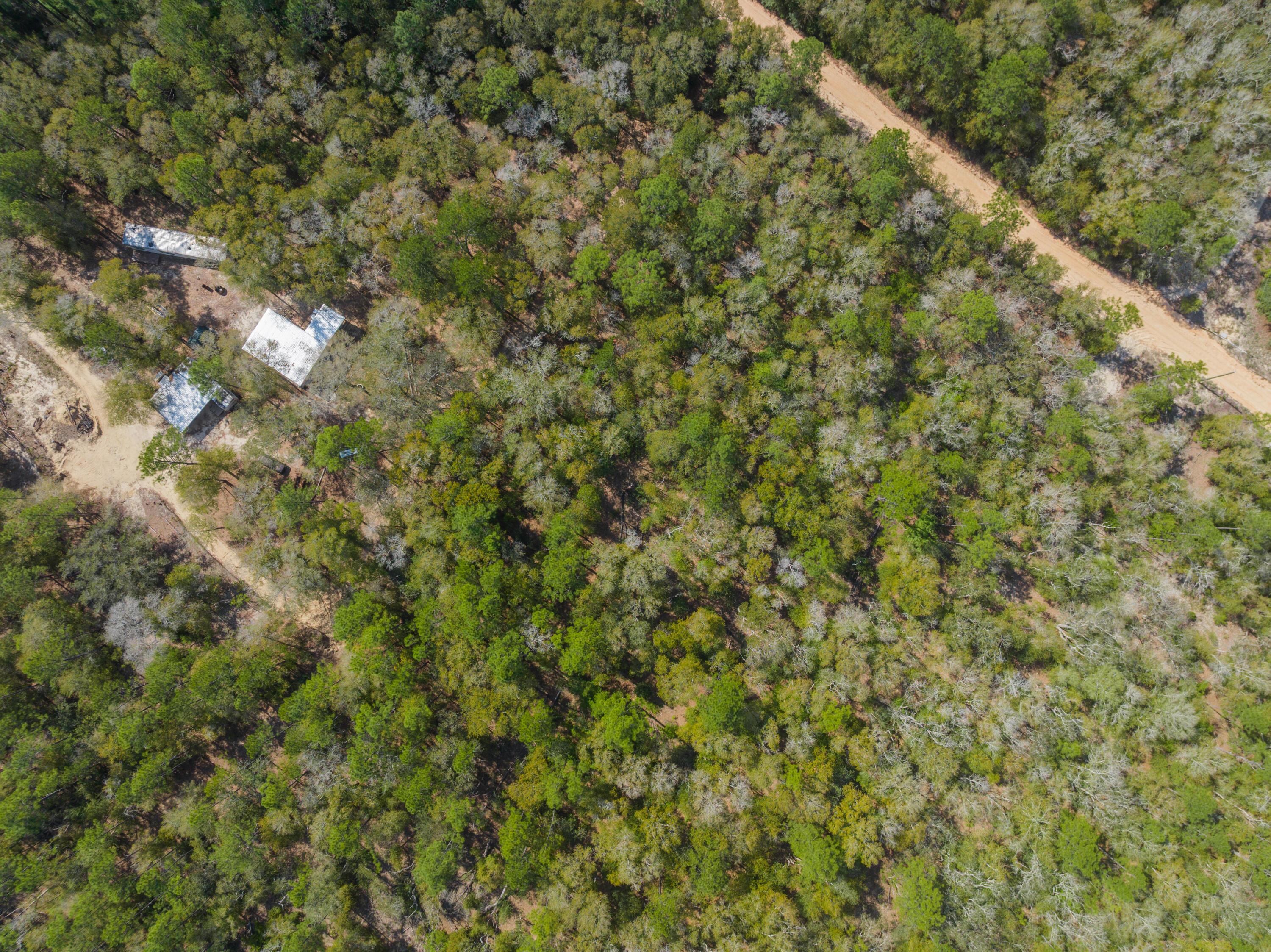 4195 Whippoorwill Drive Holt FL 32564