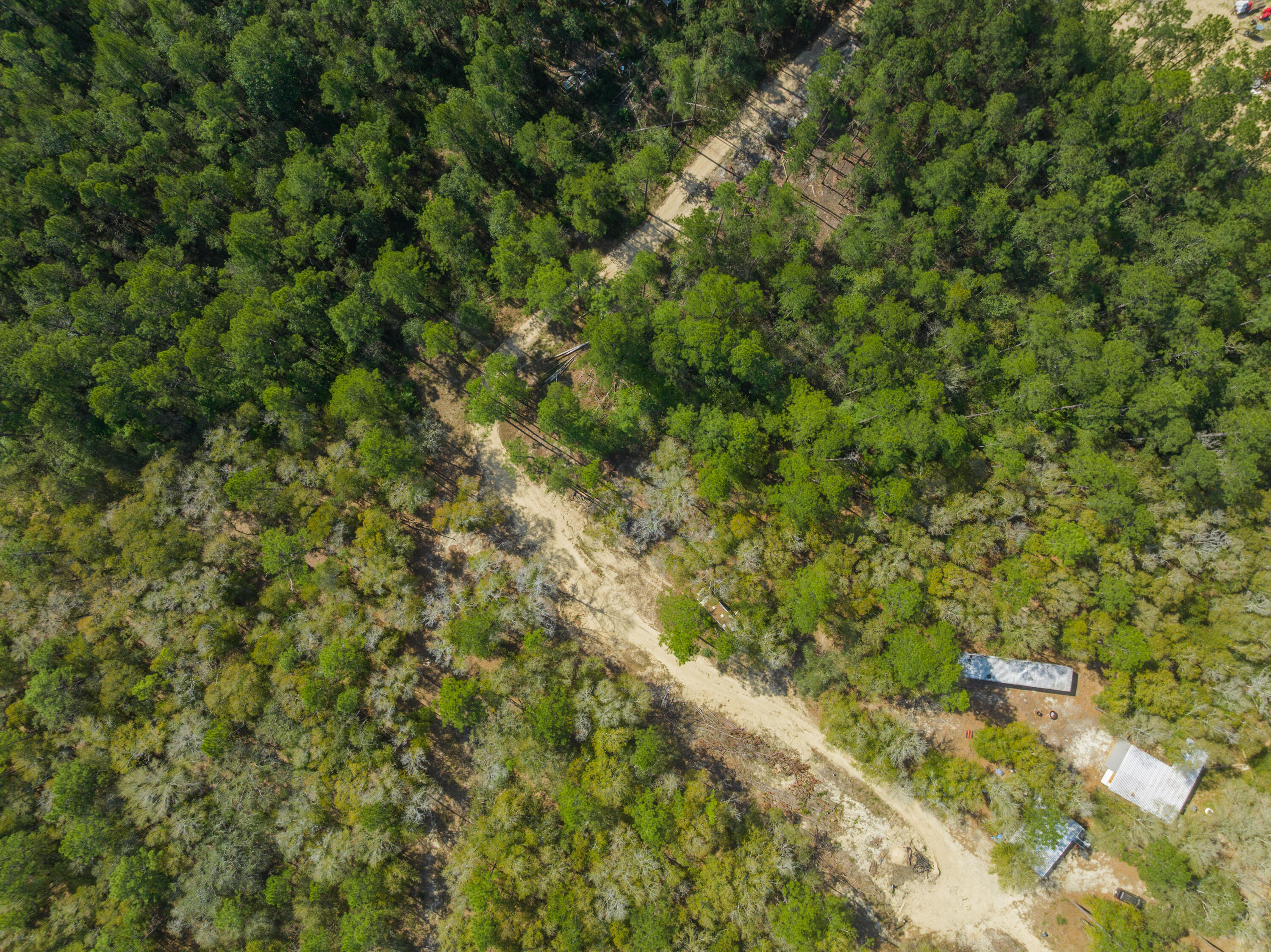 4195 Whippoorwill Drive Holt FL 32564