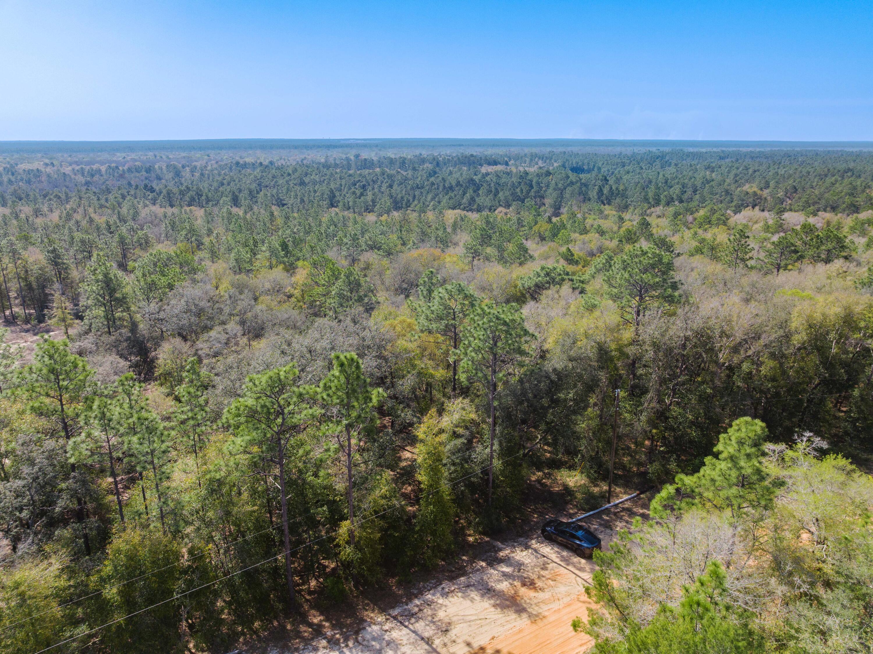 4195 Whippoorwill Drive Holt FL 32564