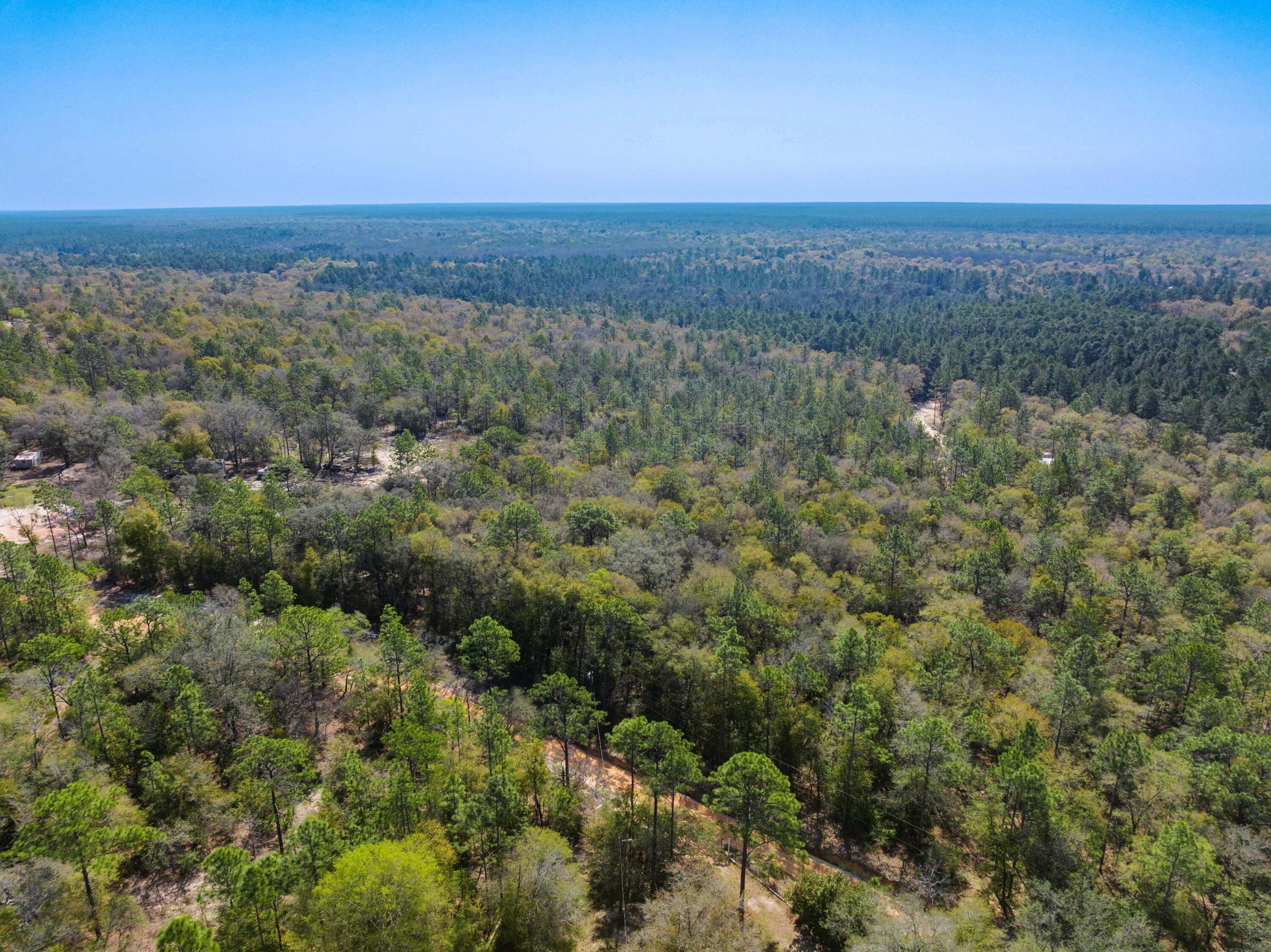 4195 Whippoorwill Drive Holt FL 32564