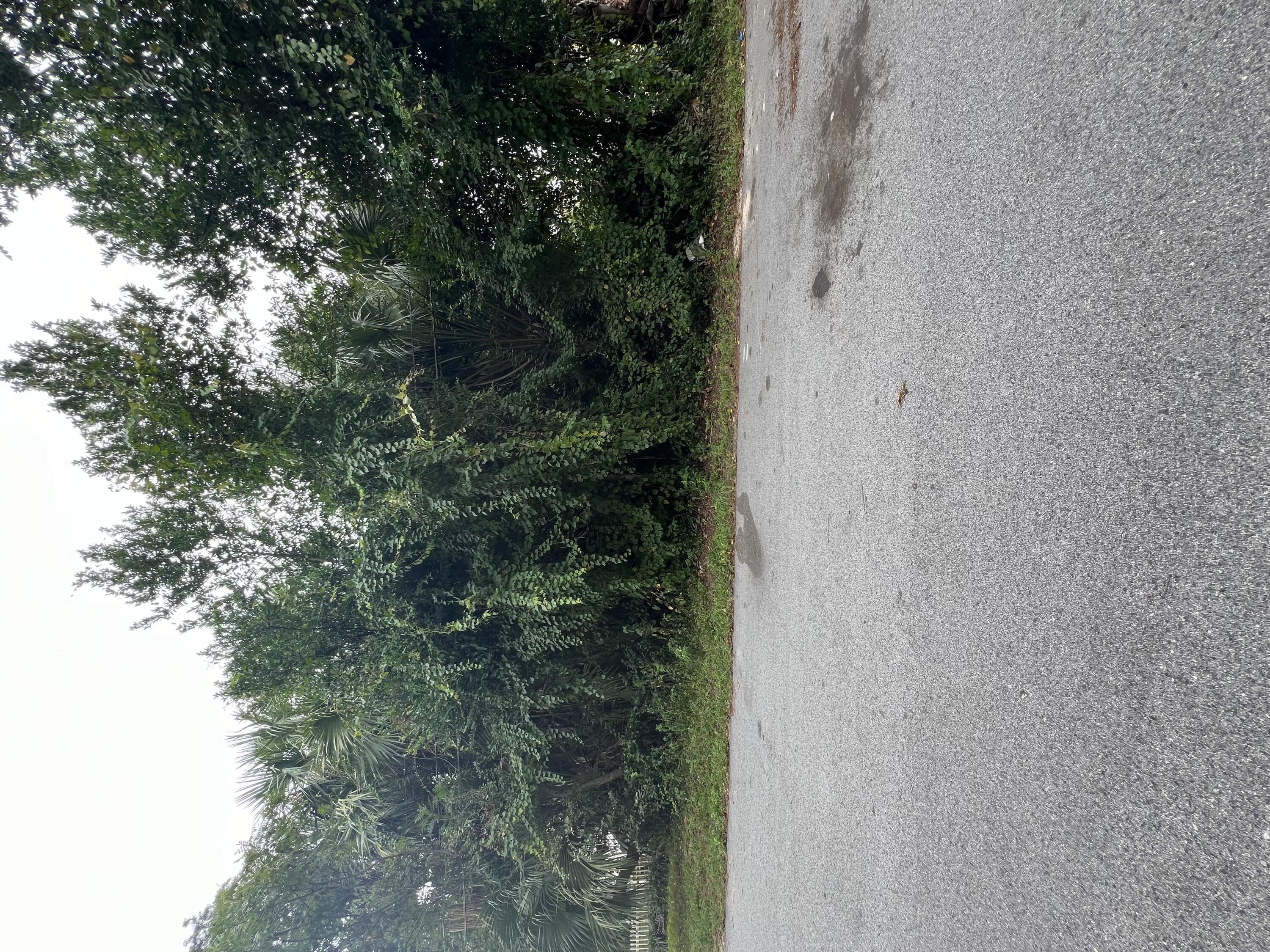 228 Magnolia Drive Panama City Beach FL 32413