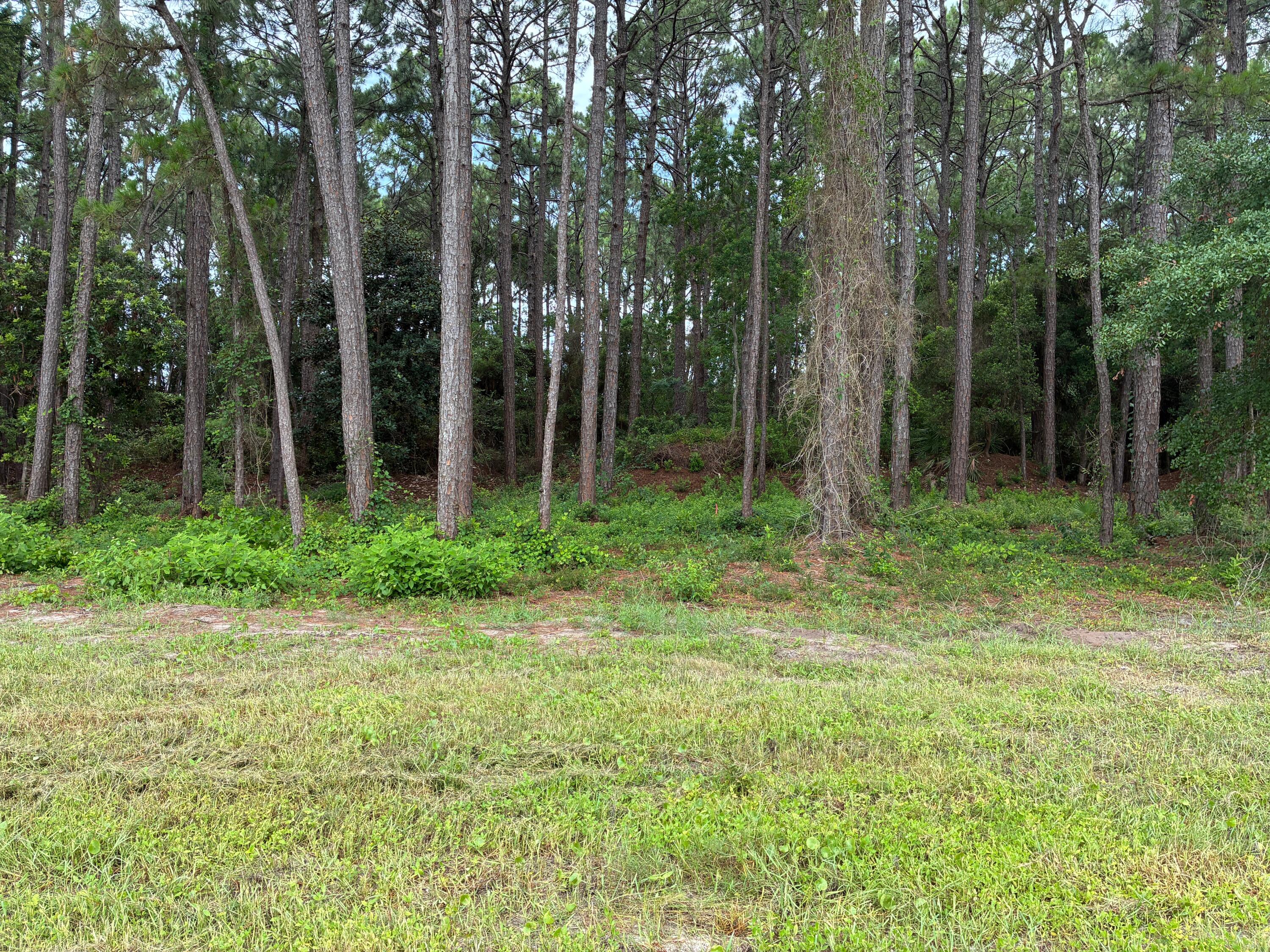 123 Old Creek Trail Destin FL 32541