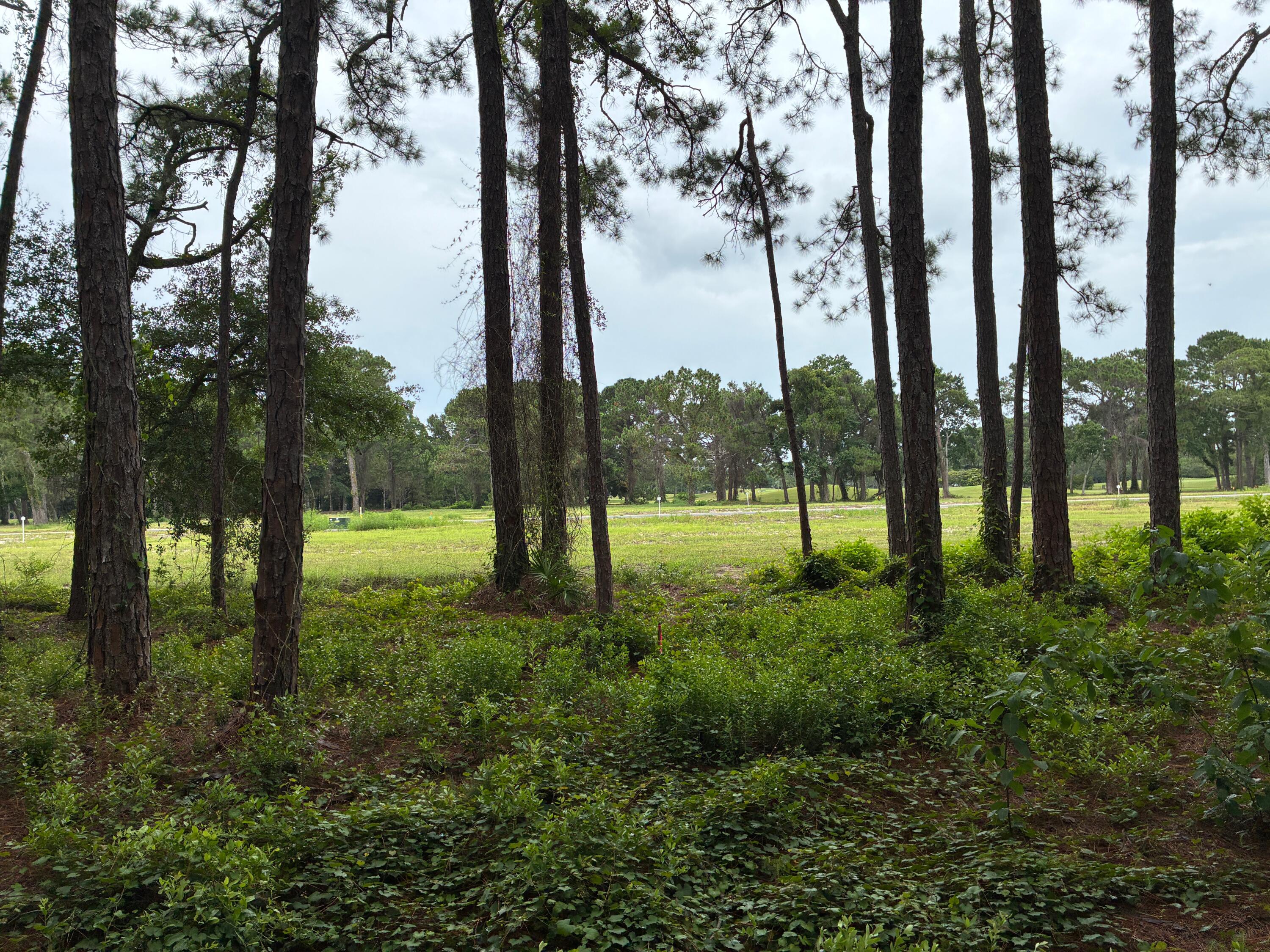 123 Old Creek Trail Destin FL 32541
