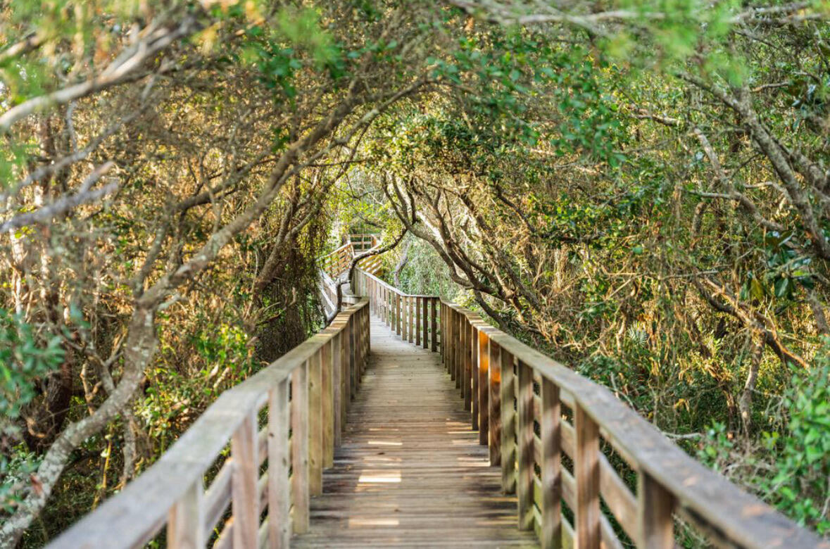 178 W Bartons Way Santa Rosa Beach FL 32459