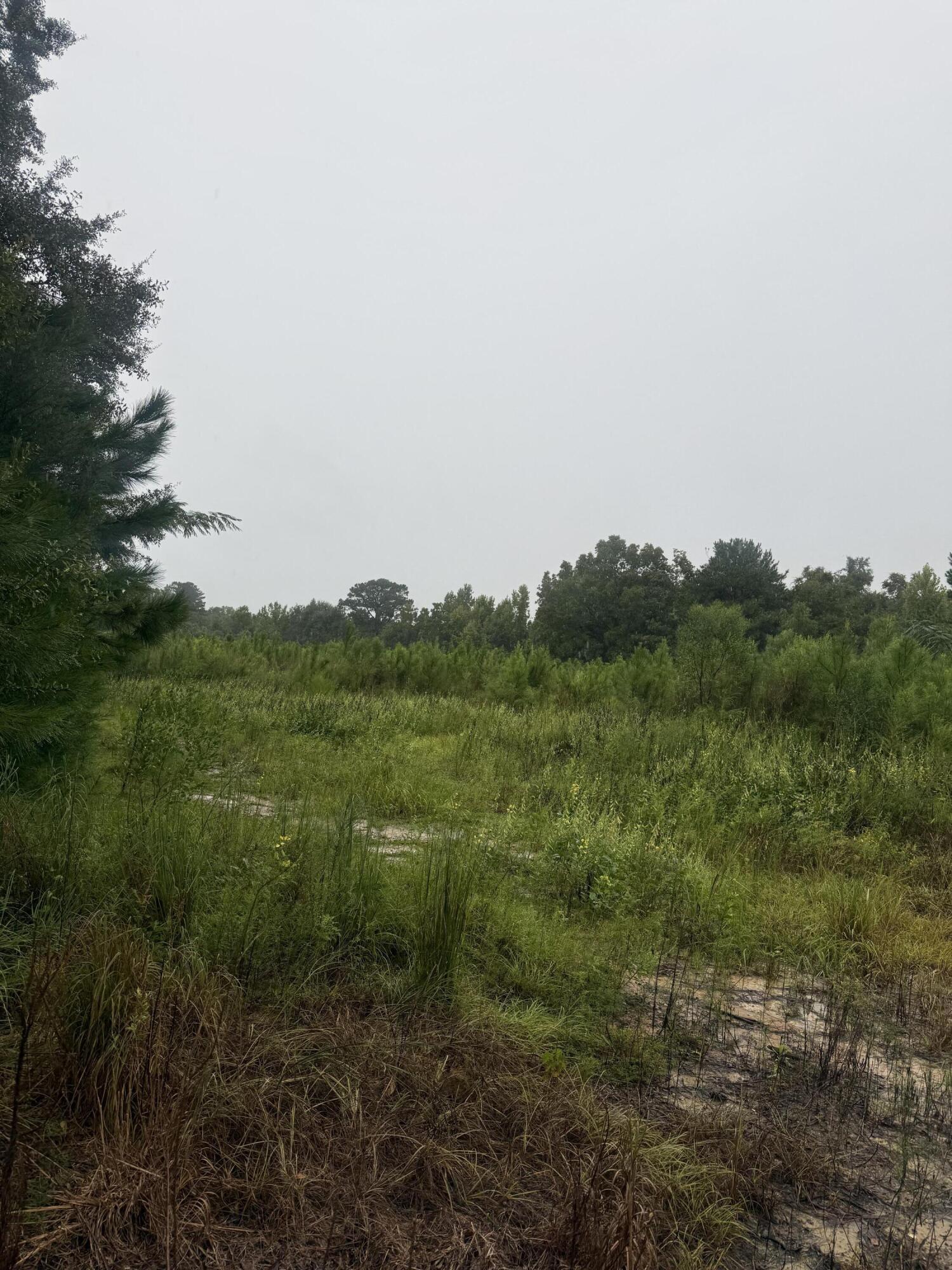 1950 Grady Baggett Road Baker FL 32531