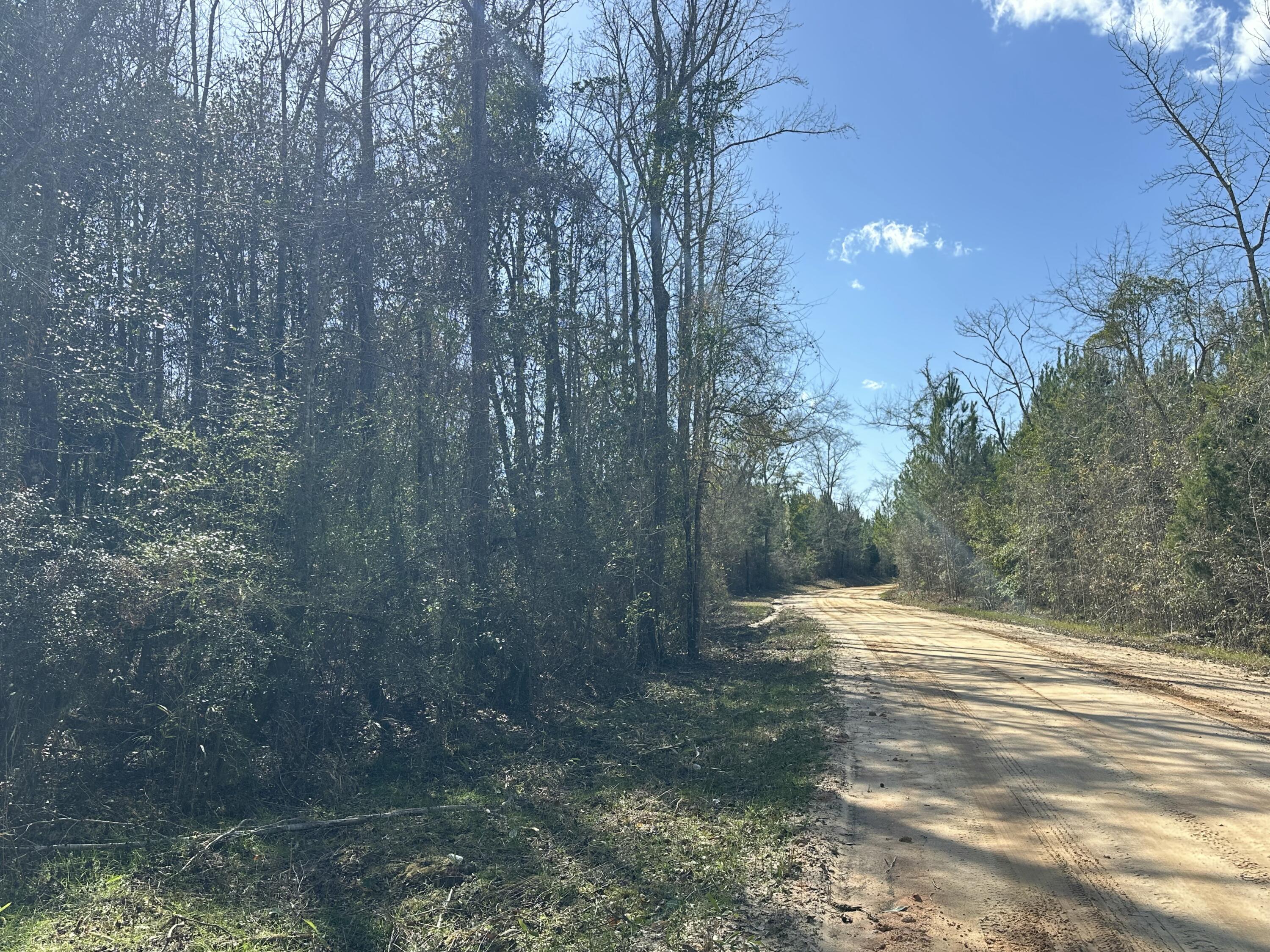 TRACT#6317 N Harris Stevenson Road Bonifay FL 32425