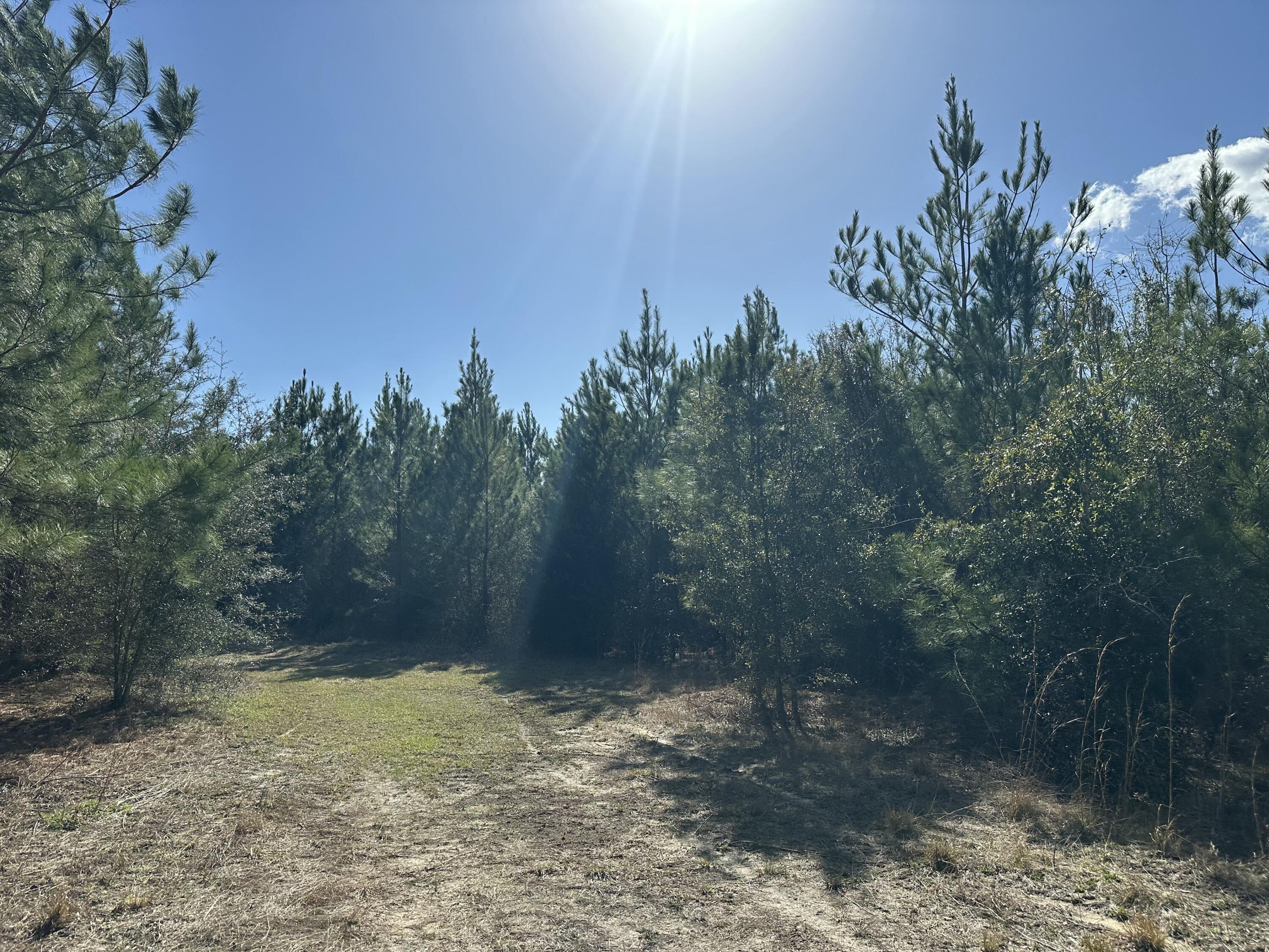 TRACT#6317 N Harris Stevenson Road Bonifay FL 32425