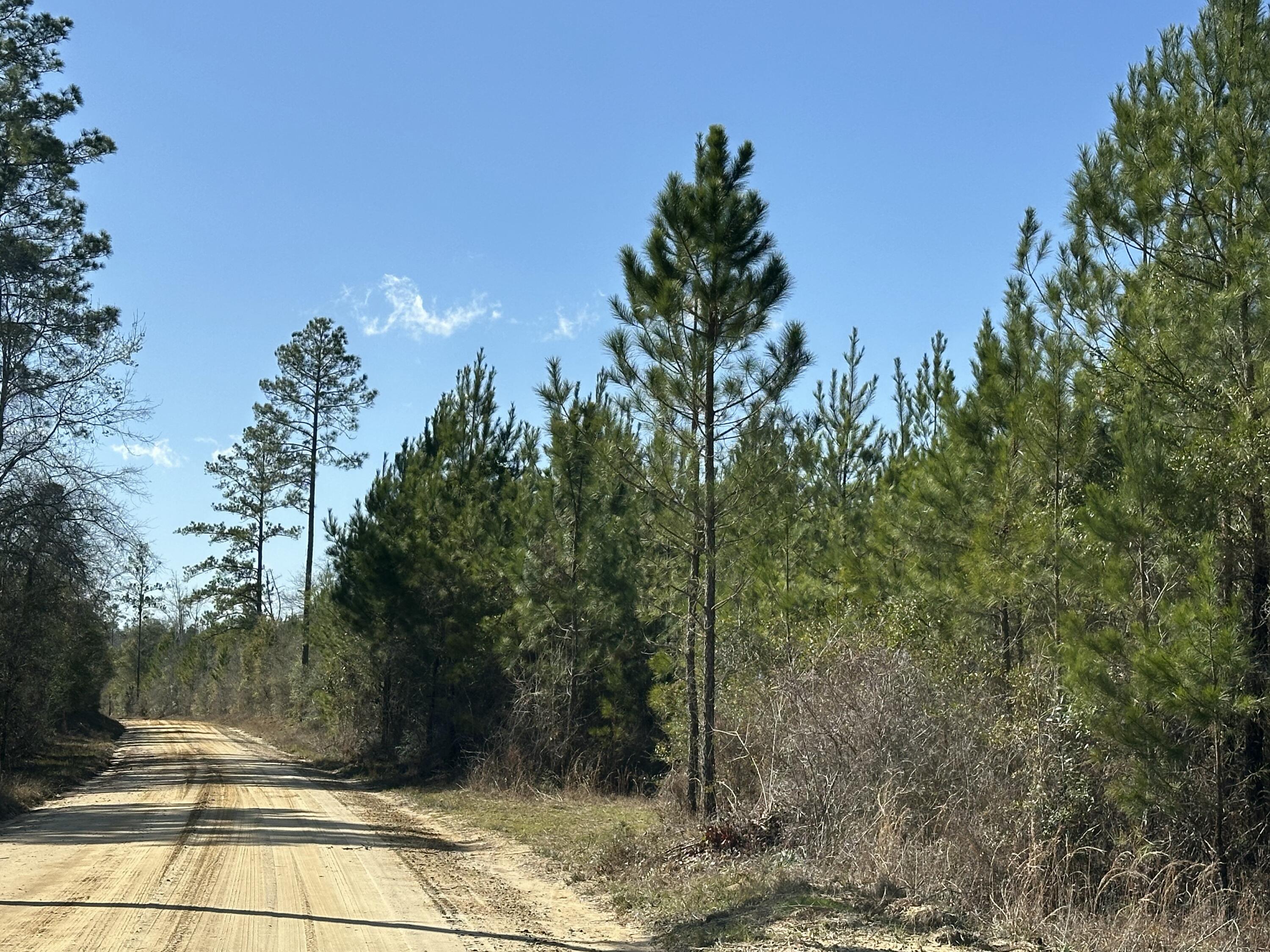TRACT#6317 N Harris Stevenson Road Bonifay FL 32425