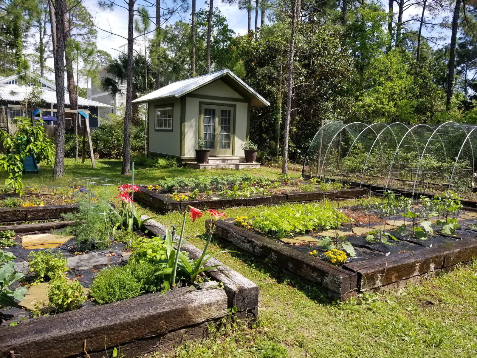Lot 24 N Blk 13 Dothan Avenue Santa Rosa Beach FL 32459