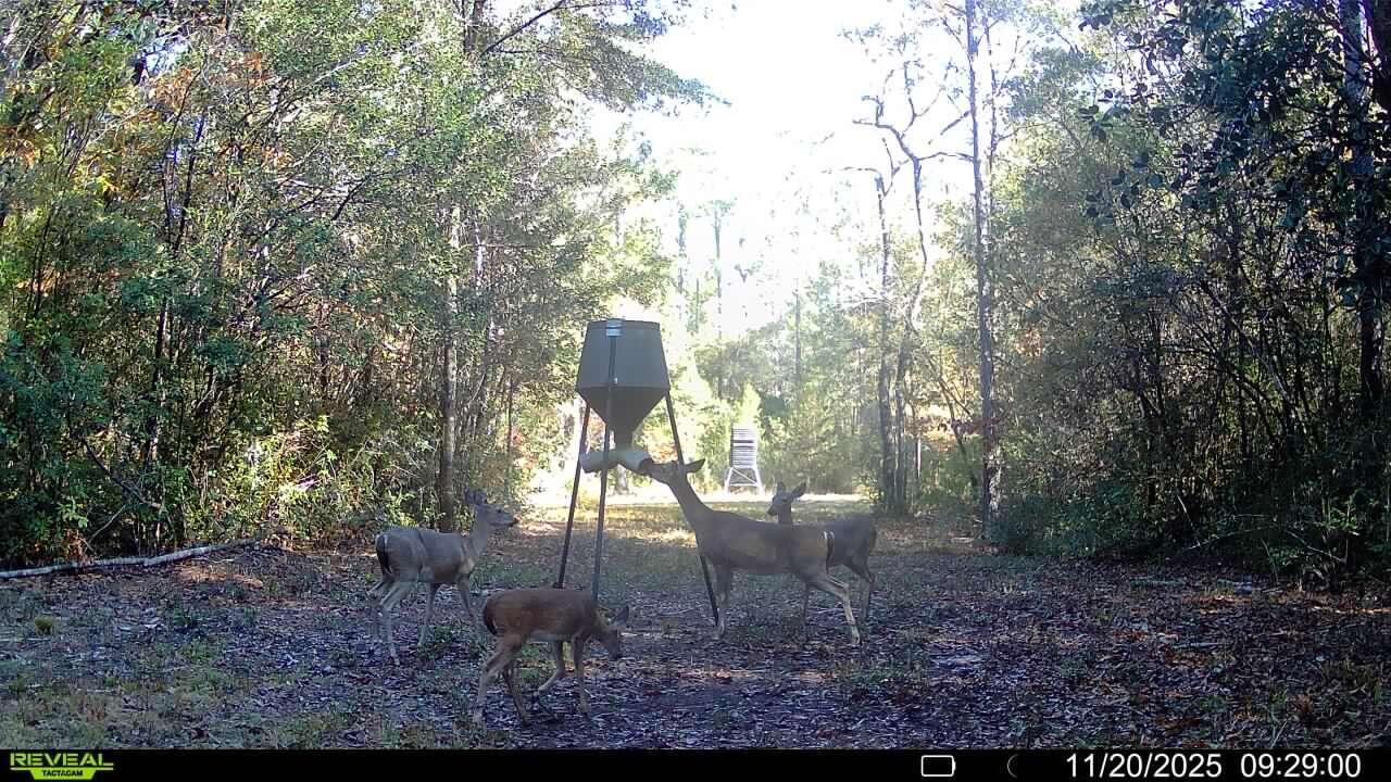 Crestview FL, Parcel A&B Sunburst Drive