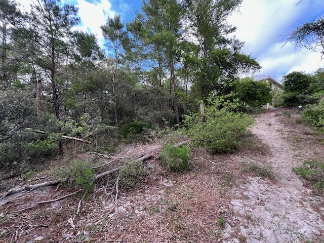 Lot 5 W Okeechobee Santa Rosa Beach FL 32459