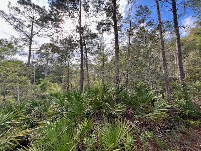 Lot 5 W Okeechobee Santa Rosa Beach FL 32459