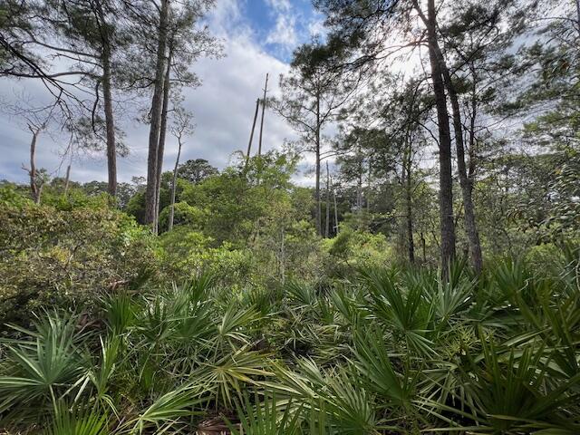 Lot 5 W Okeechobee Santa Rosa Beach FL 32459