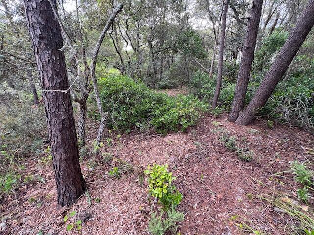 Lot 5 W Okeechobee Santa Rosa Beach FL 32459