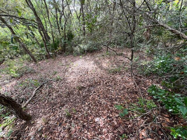 Lot 5 W Okeechobee Santa Rosa Beach FL 32459
