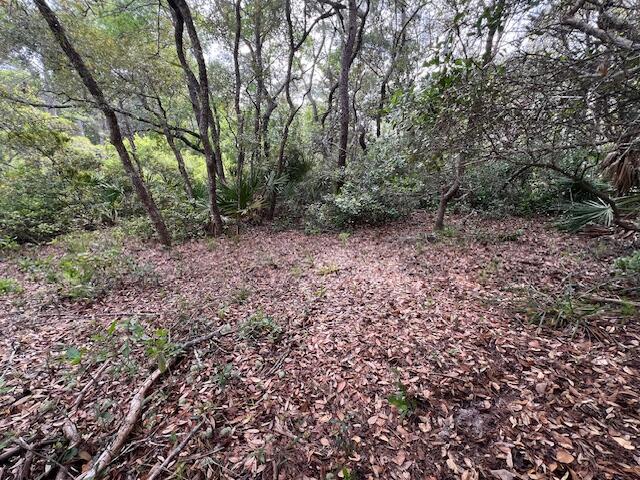 Lot 5 W Okeechobee Santa Rosa Beach FL 32459