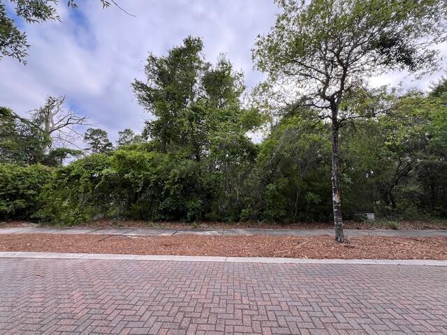 Lot 5 W Okeechobee Santa Rosa Beach FL 32459