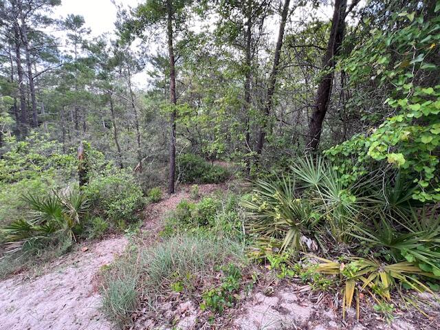 Lot 5 W Okeechobee Santa Rosa Beach FL 32459