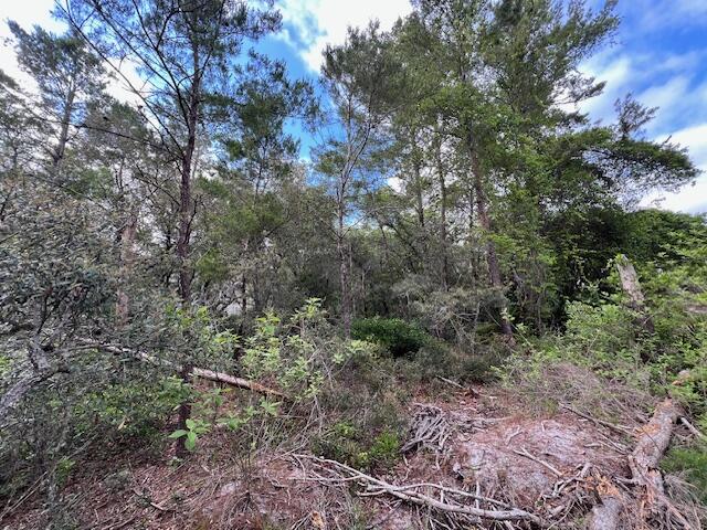 Lot 5 W Okeechobee Santa Rosa Beach FL 32459