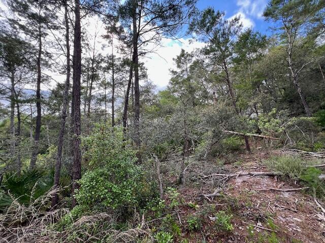 Lot 5 W Okeechobee Santa Rosa Beach FL 32459