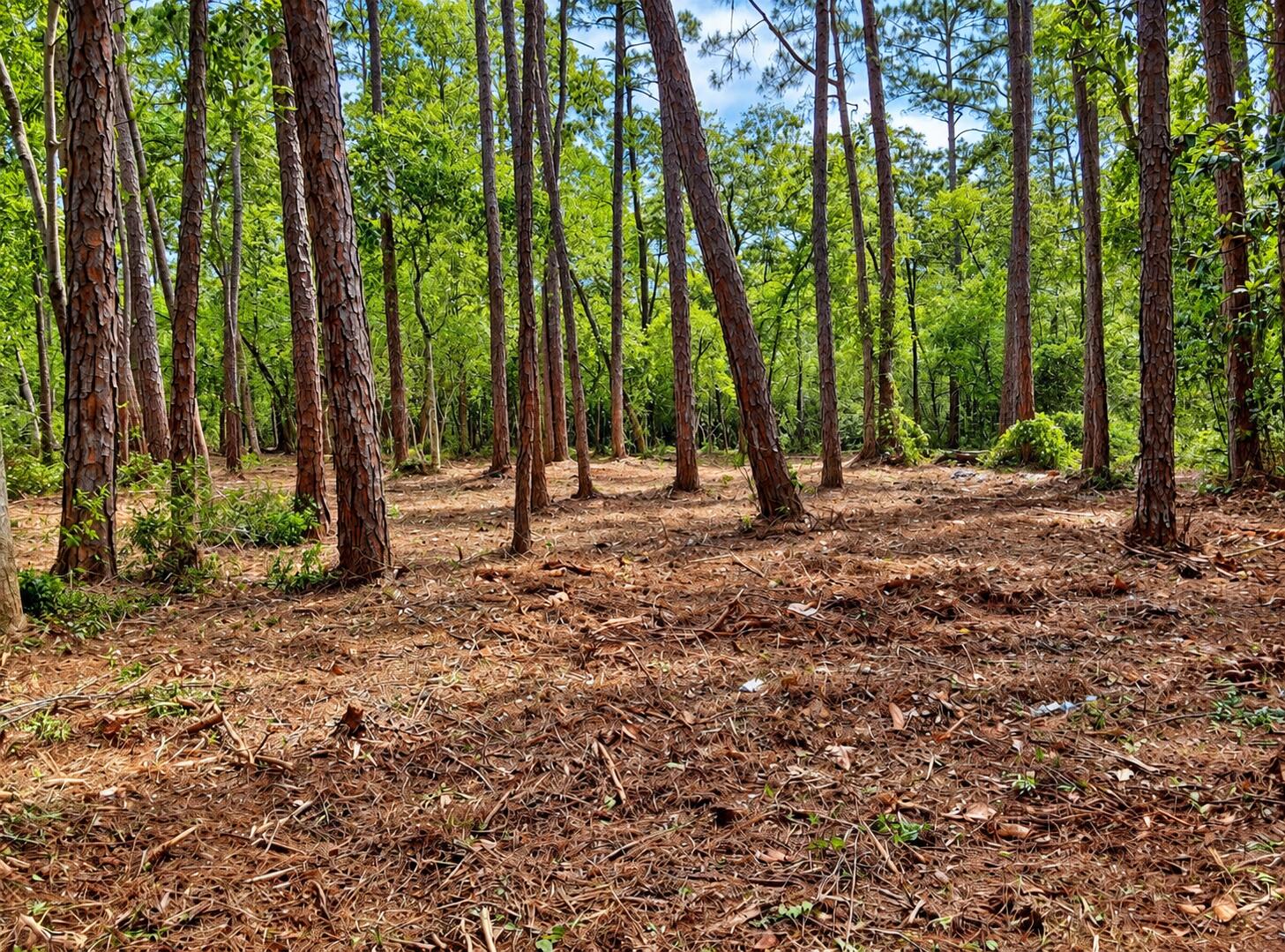 3558 Mai Kai Drive Pensacola FL 32526