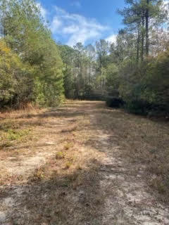 Tbd Sunburst Drive Crestview FL 32539