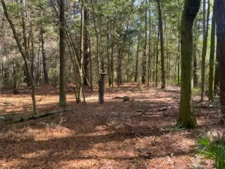 Tbd Sunburst Drive Crestview FL 32539
