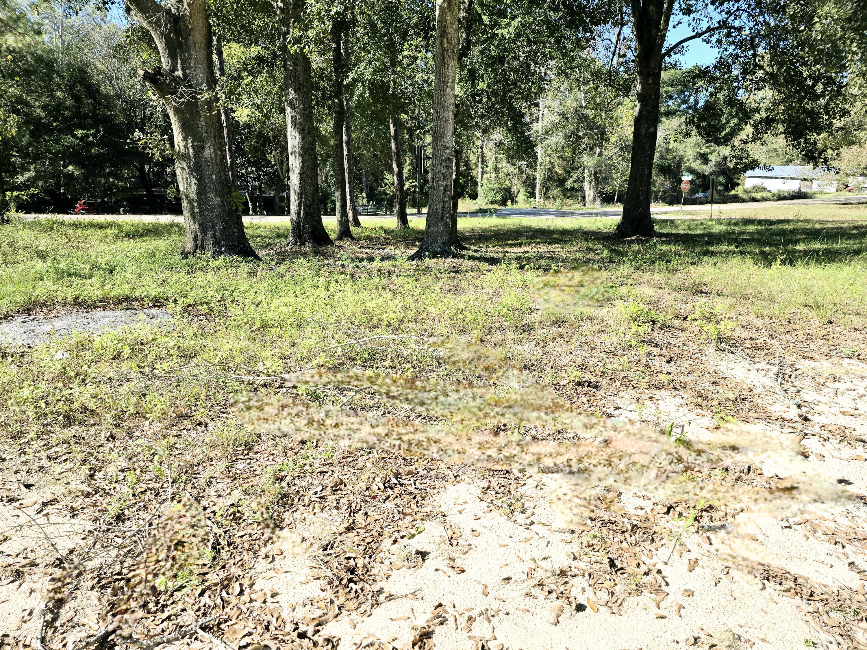 Lot 14 Bayview Drive Laurel Hill FL 32567