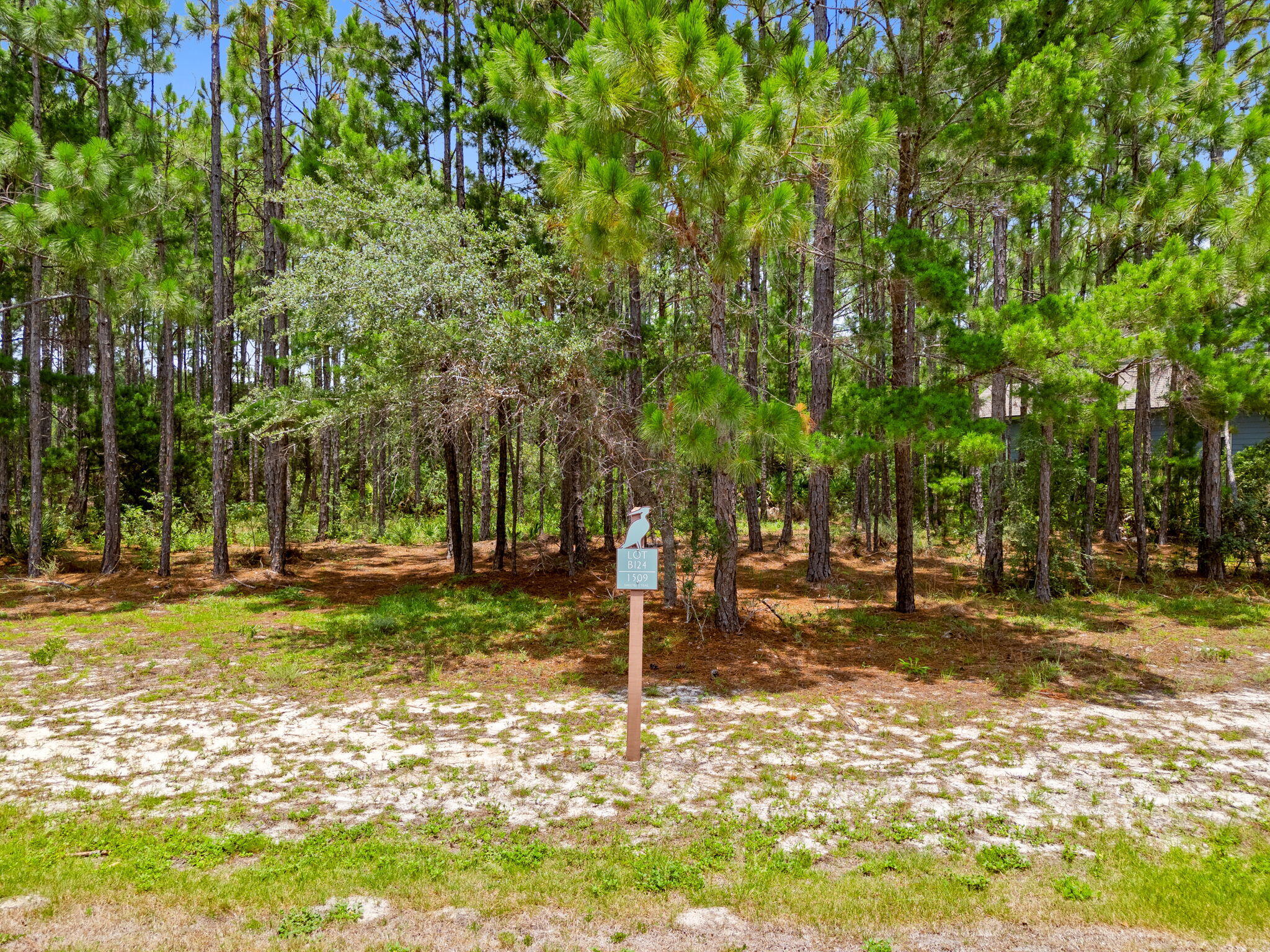1509 Sweetbay Trail Panama City Beach FL 32413