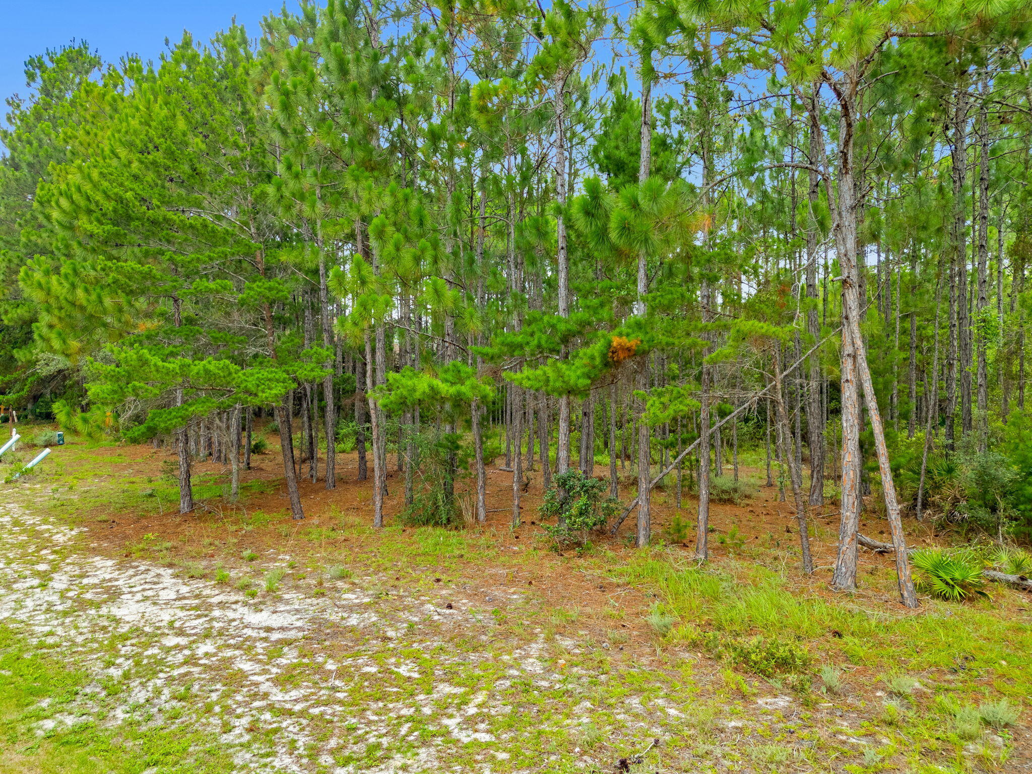 1509 Sweetbay Trail Panama City Beach FL 32413