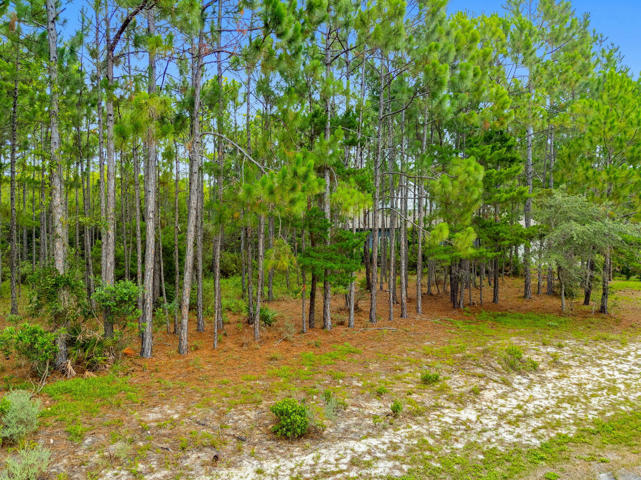 1509 Sweetbay Trail Panama City Beach FL 32413
