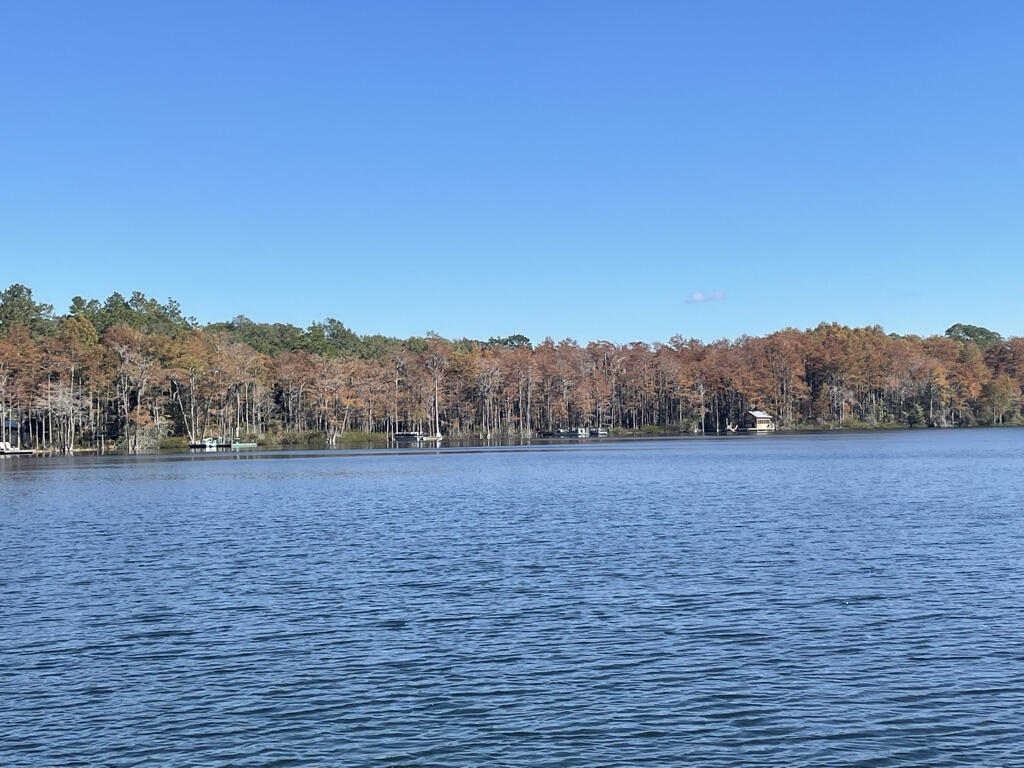 Lot 41 Blue Pond Lane Ponce De Leon FL 32455