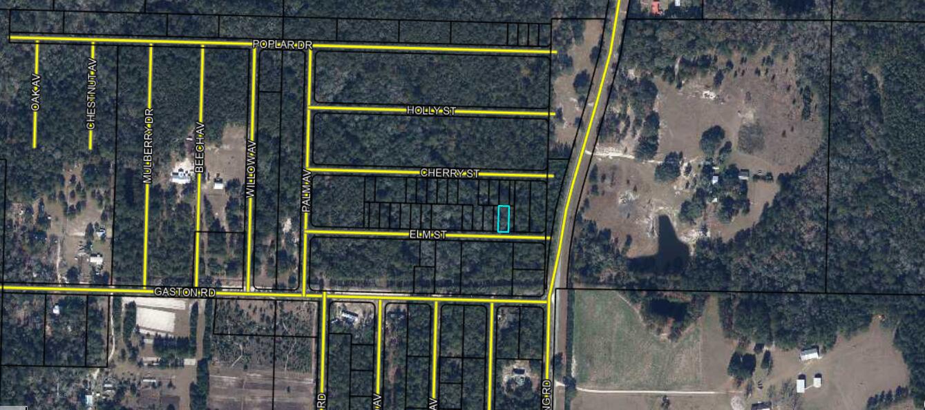 Lots 53/54 Elm Street Vernon FL 32462