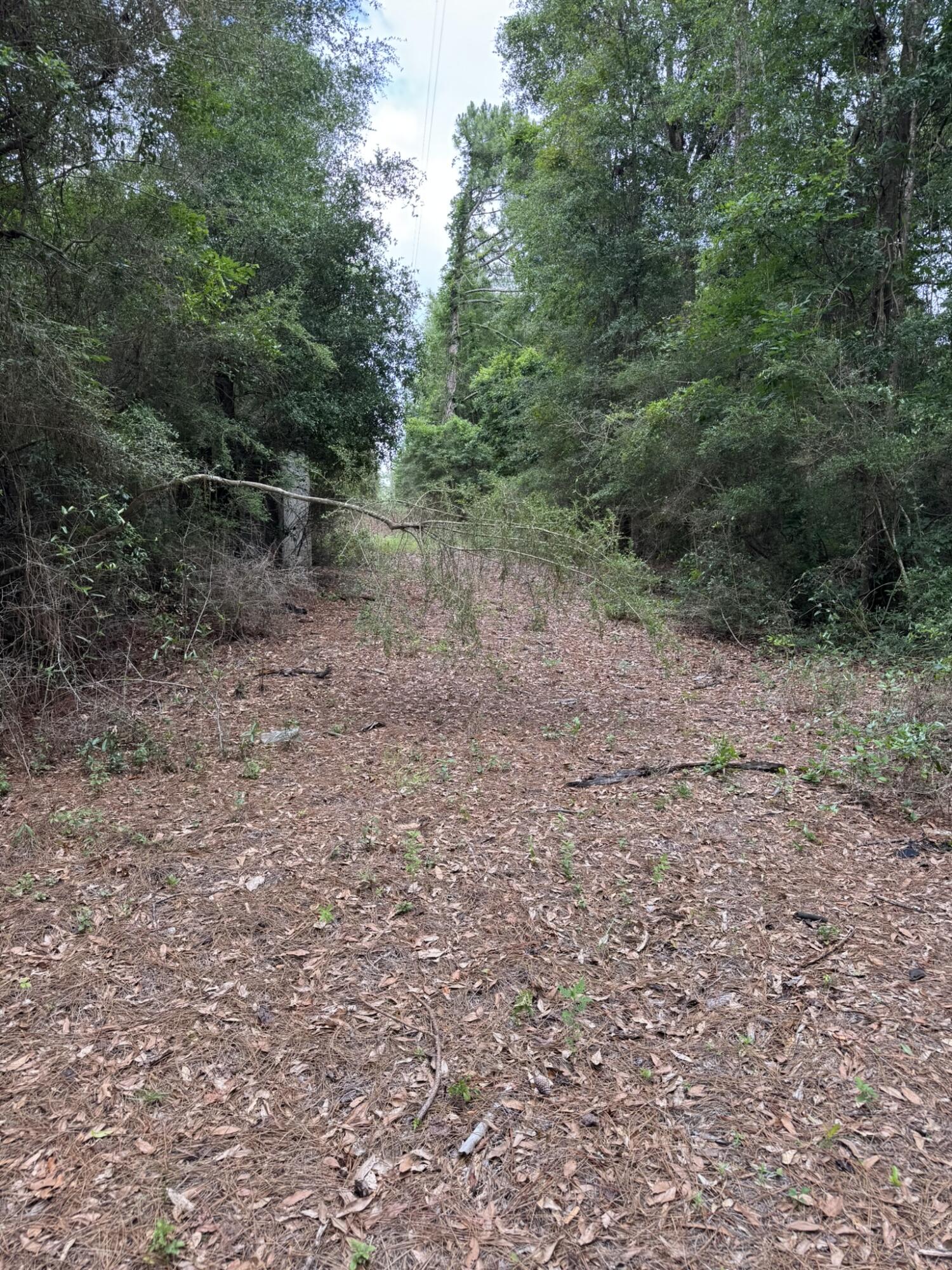 115 Clarks Landing Road Defuniak Springs FL 32433