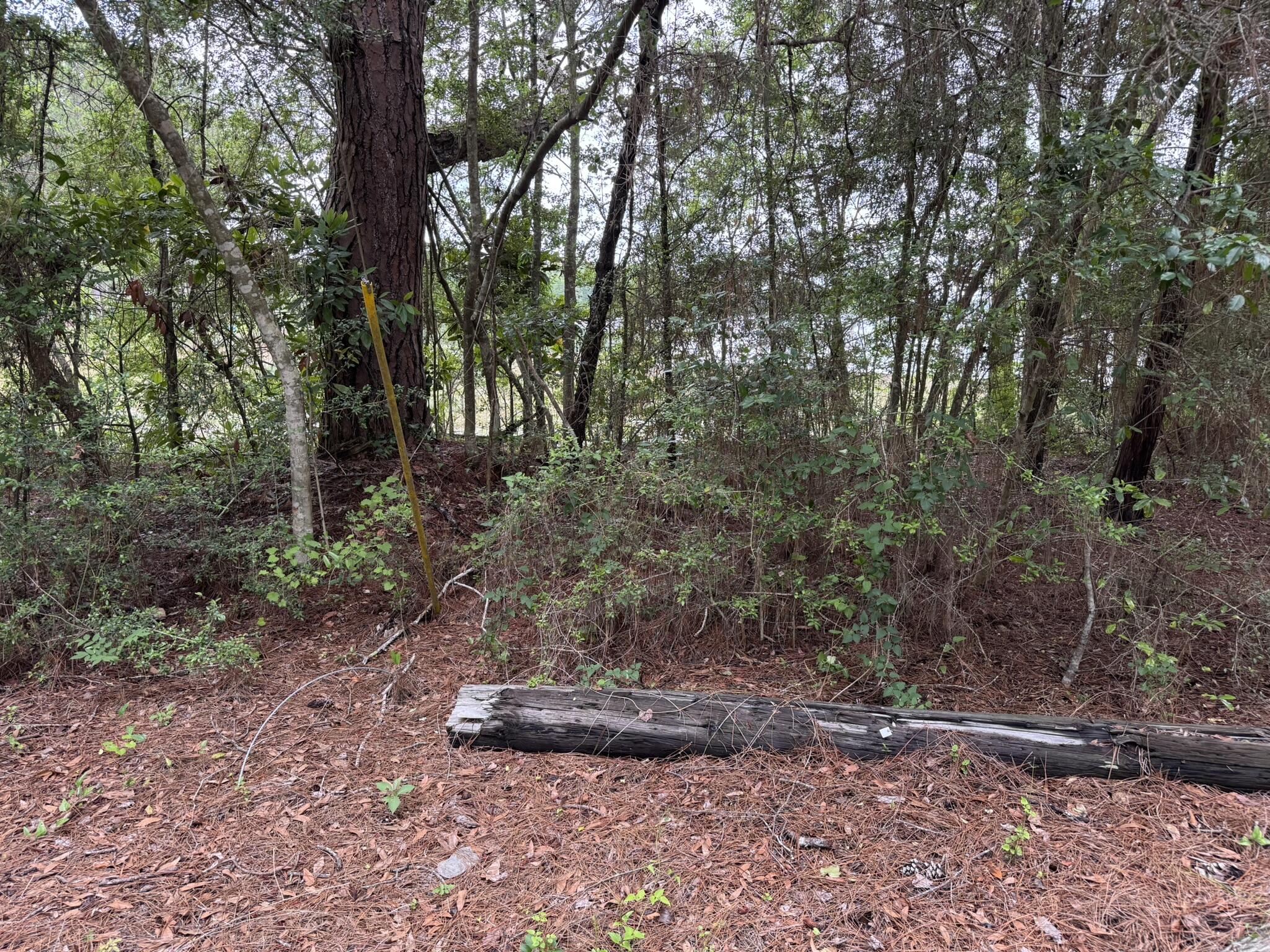 115 Clarks Landing Road Defuniak Springs FL 32433