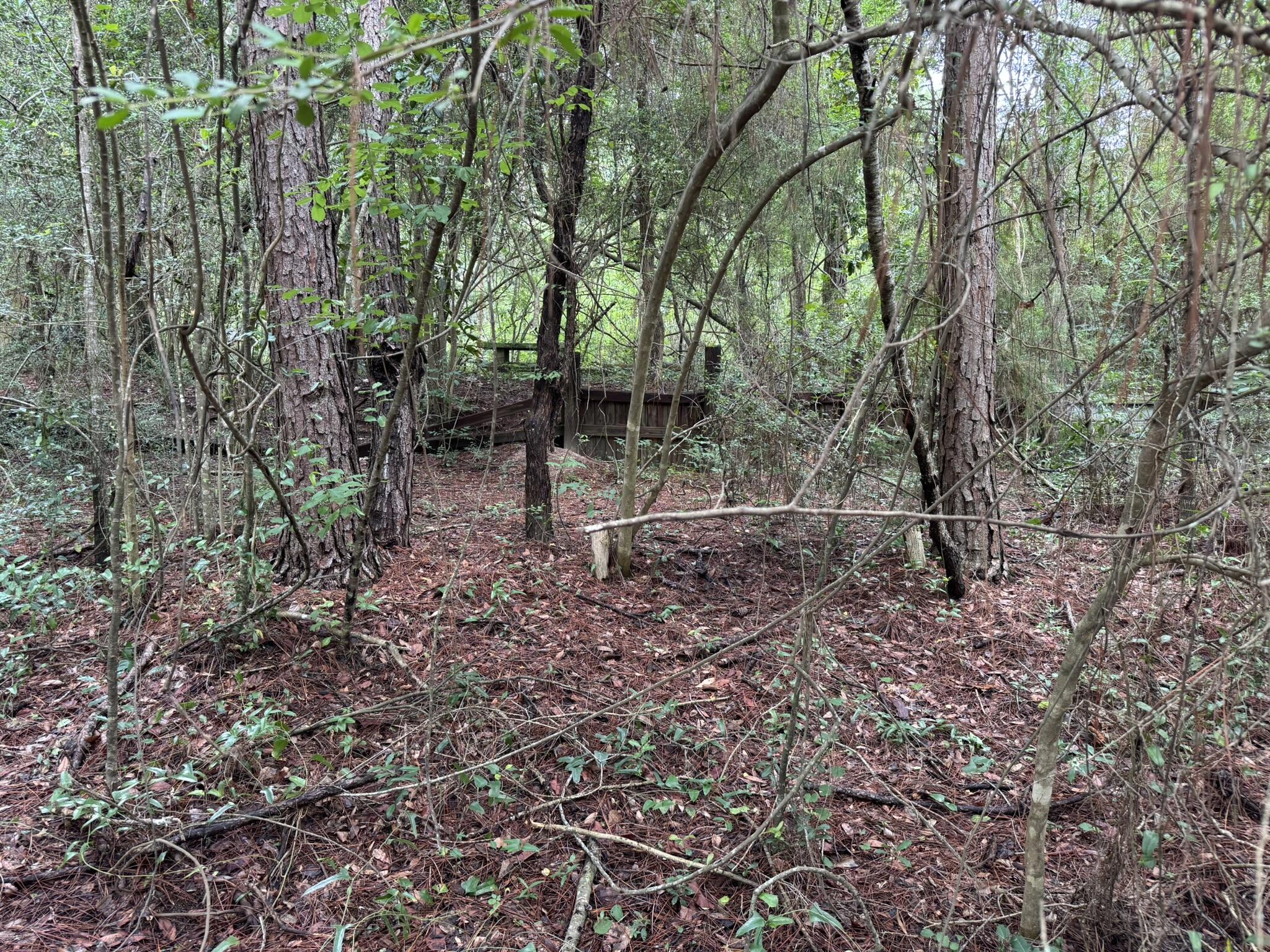 115 Clarks Landing Road Defuniak Springs FL 32433
