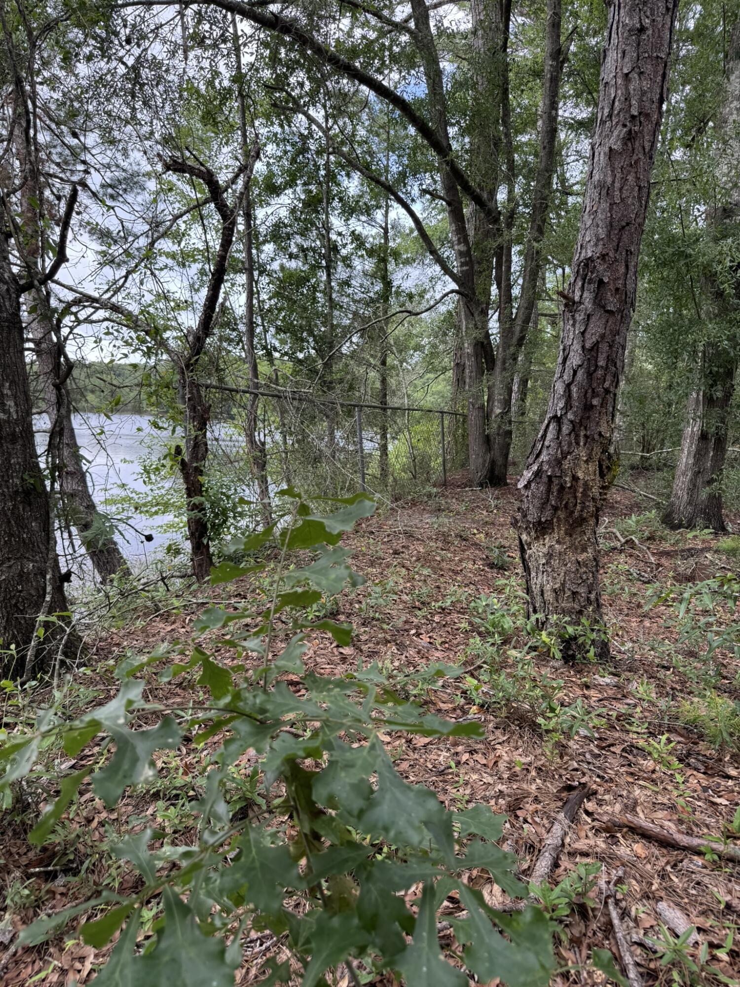 115 Clarks Landing Road Defuniak Springs FL 32433
