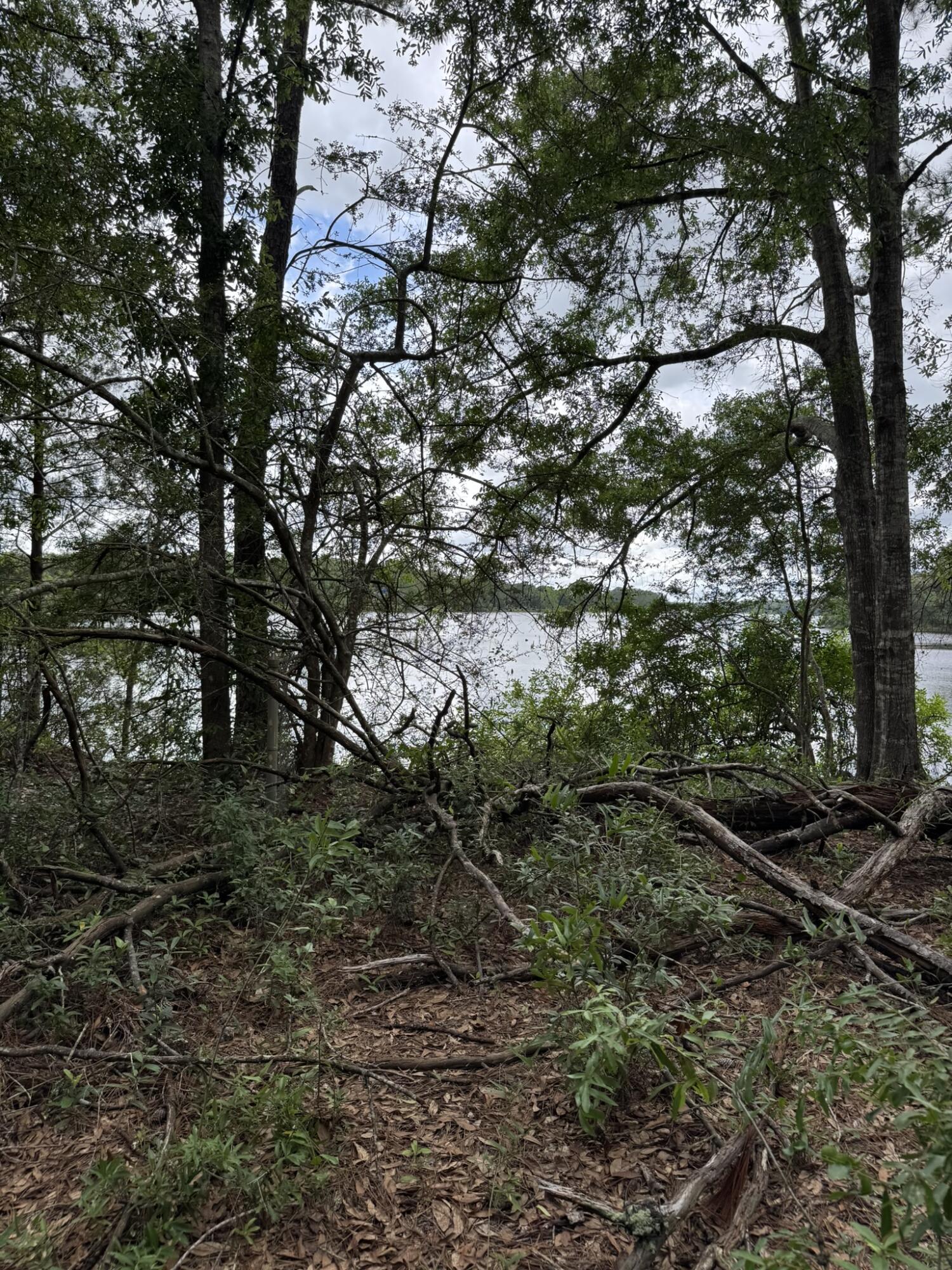115 Clarks Landing Road Defuniak Springs FL 32433