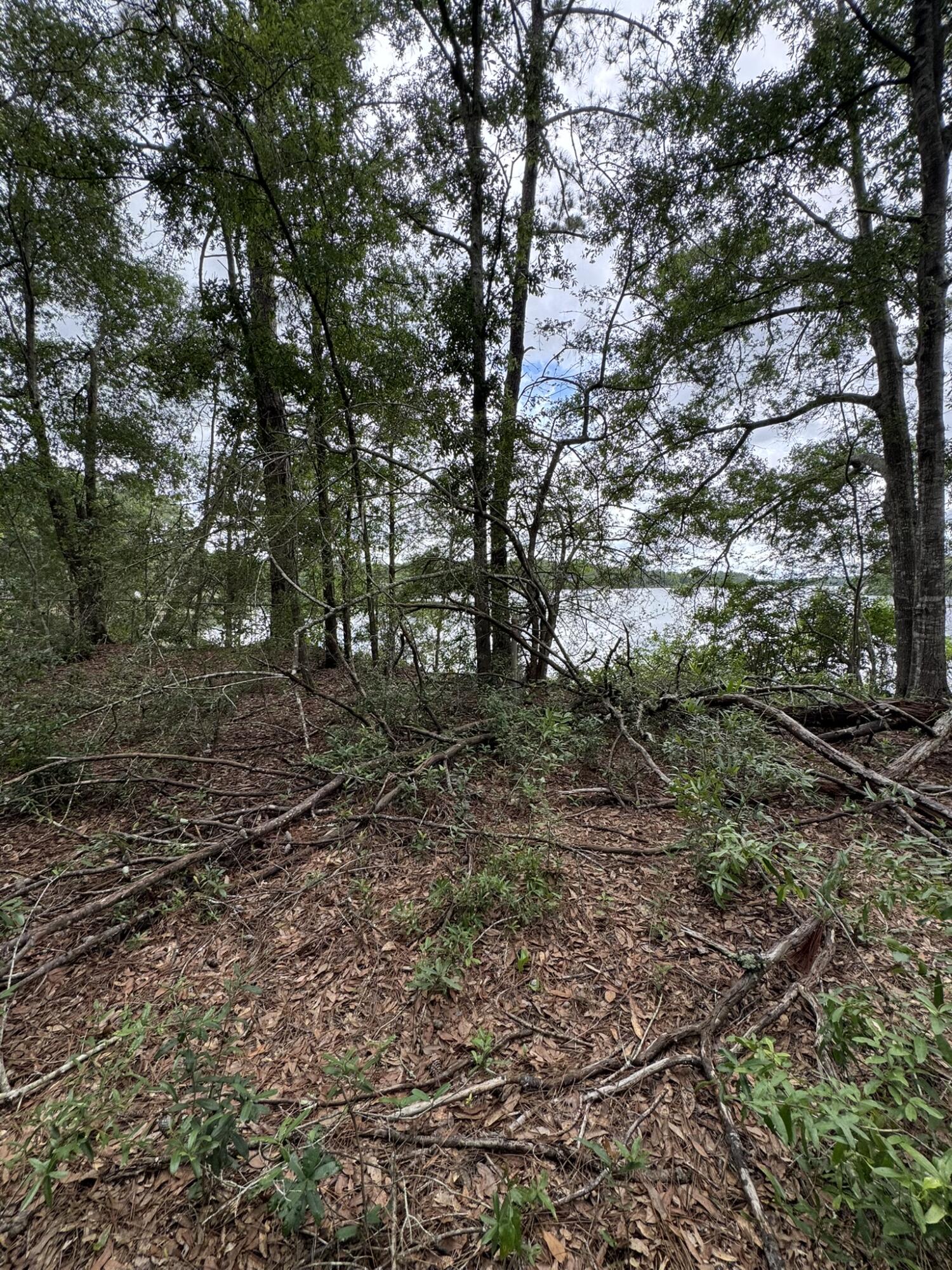 115 Clarks Landing Road Defuniak Springs FL 32433